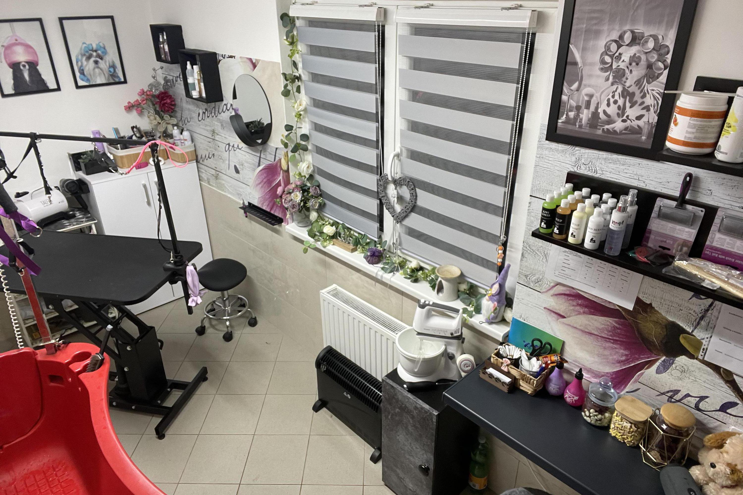 Nelly Psí salon