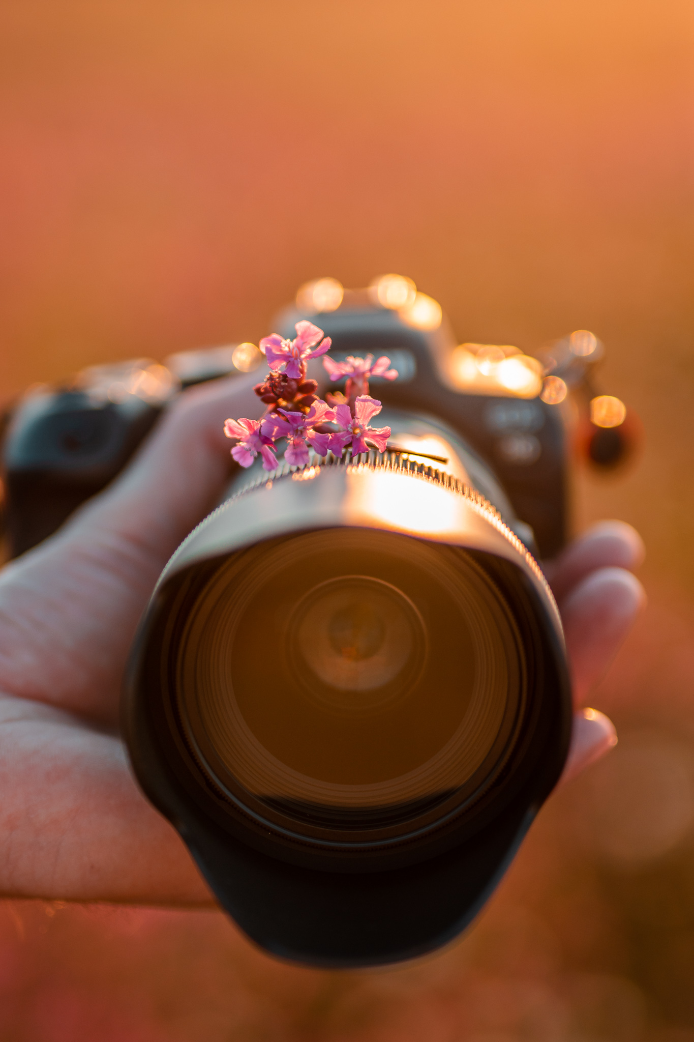 Aneta Zavřelová FOTOGRAFIE foto 5