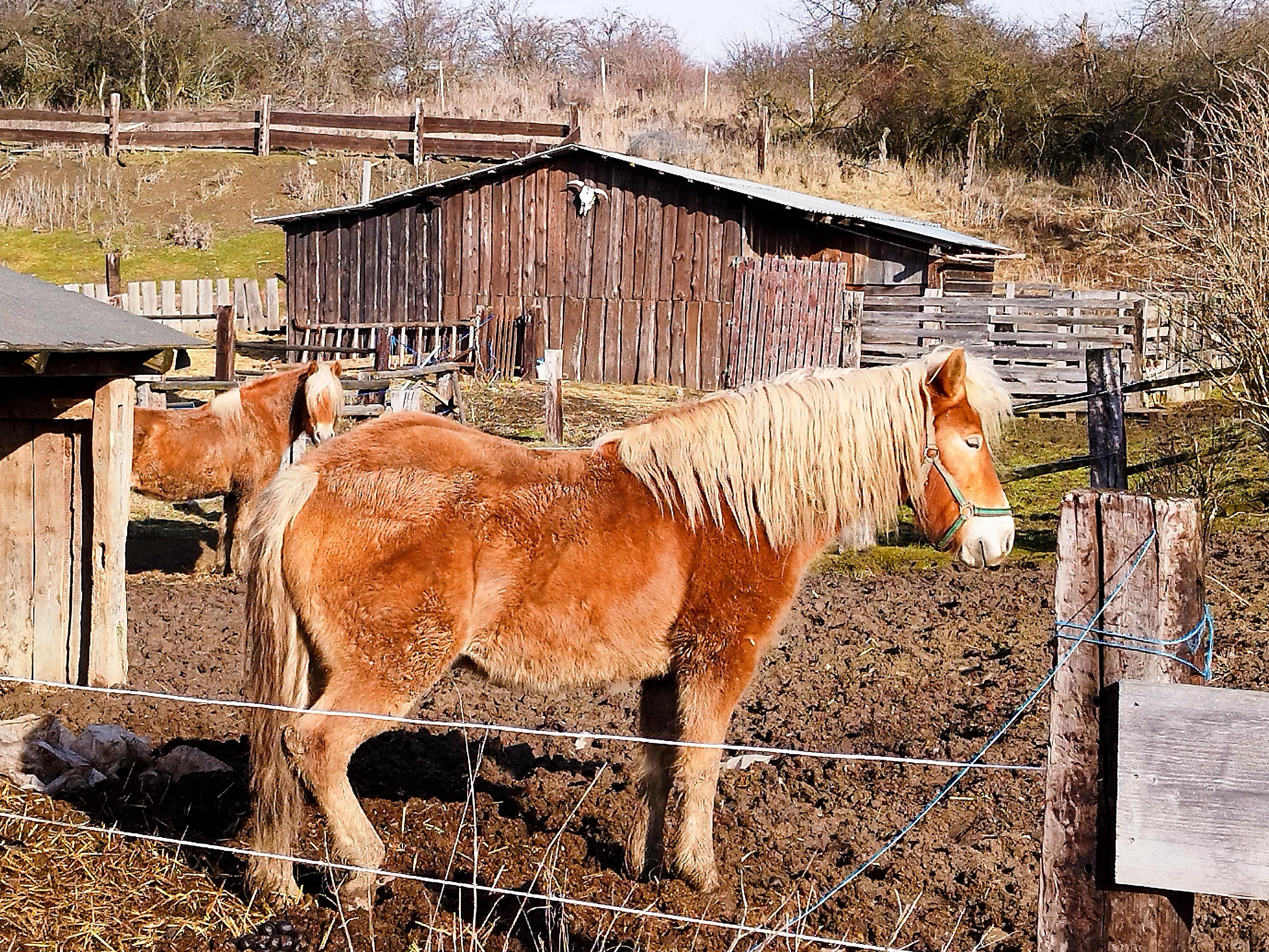 Ranč Kozí vrch