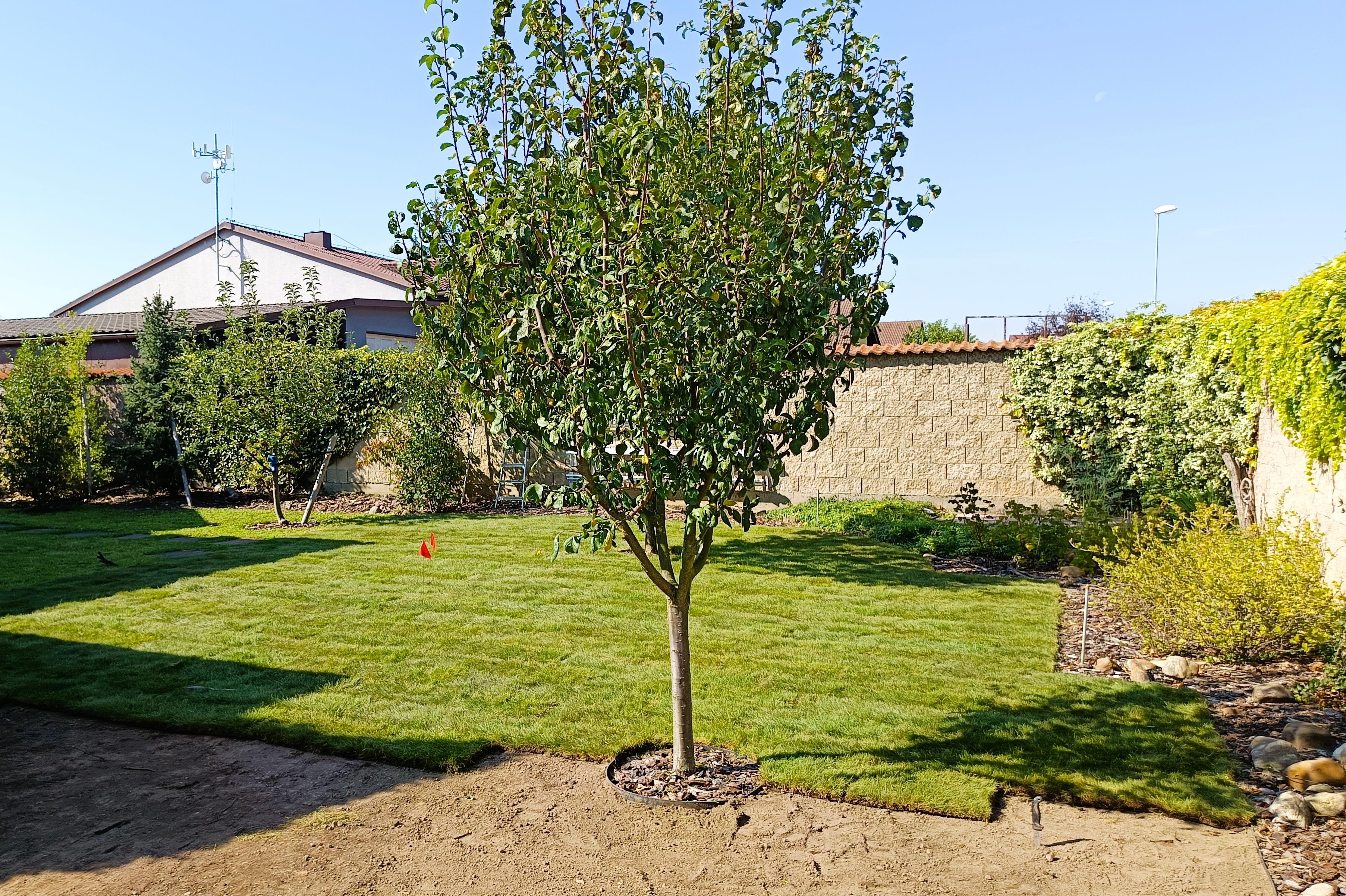 pokládka travního koberce