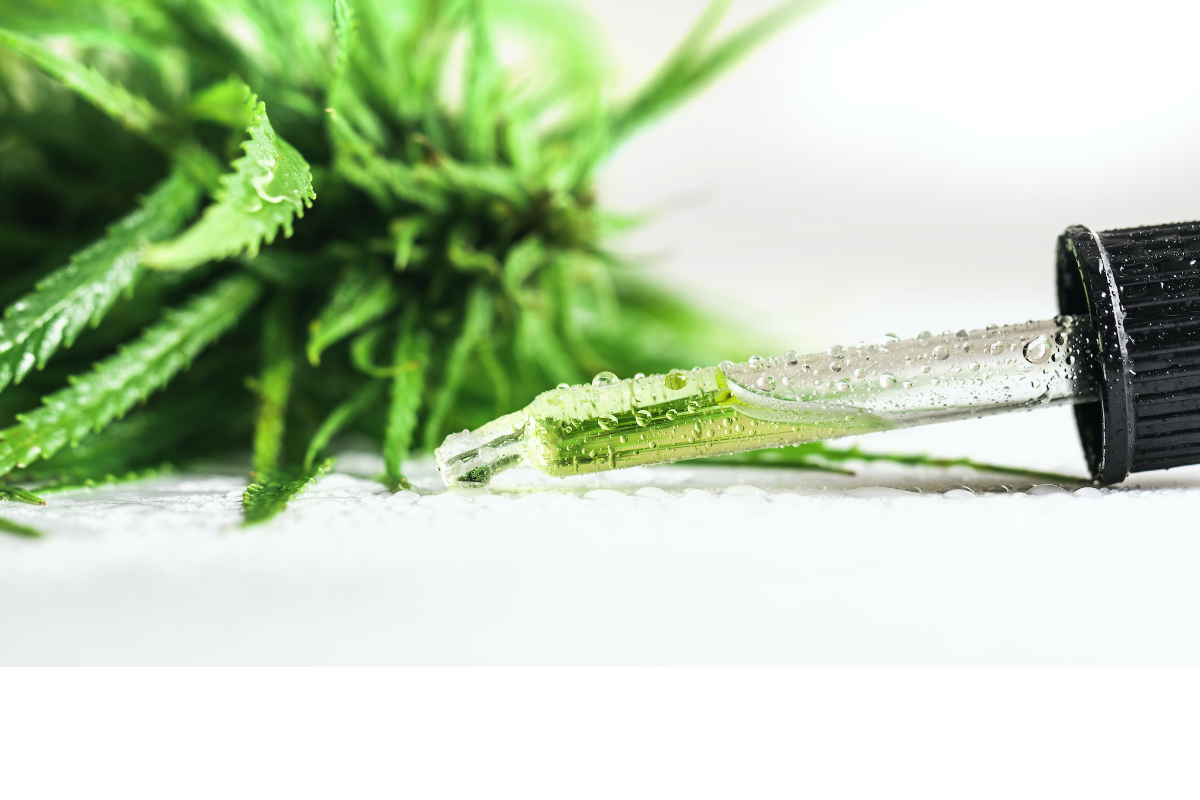 CéBéDéčko - Jiná liga