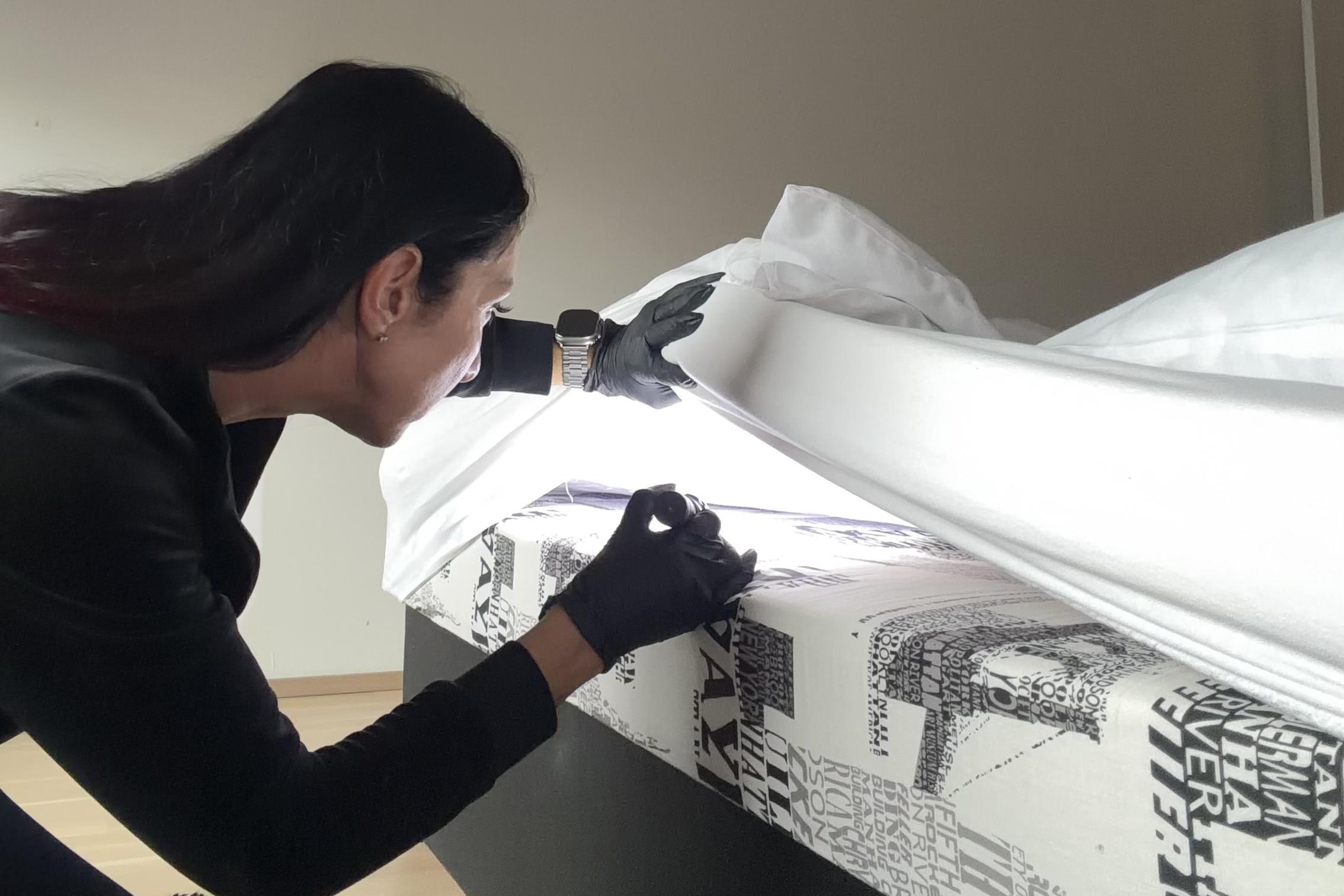 Stop štěnicím - deratizace, dezinsekce, dezinfekce