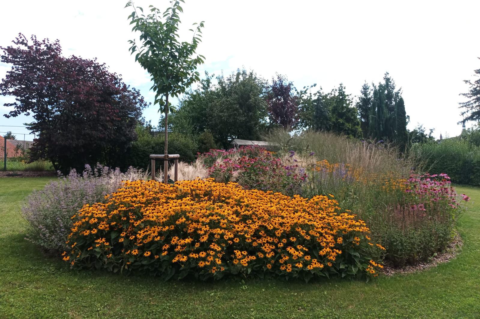 Návrhy zahrad a zeleně Ing. Zuzana Palánová Zajícová