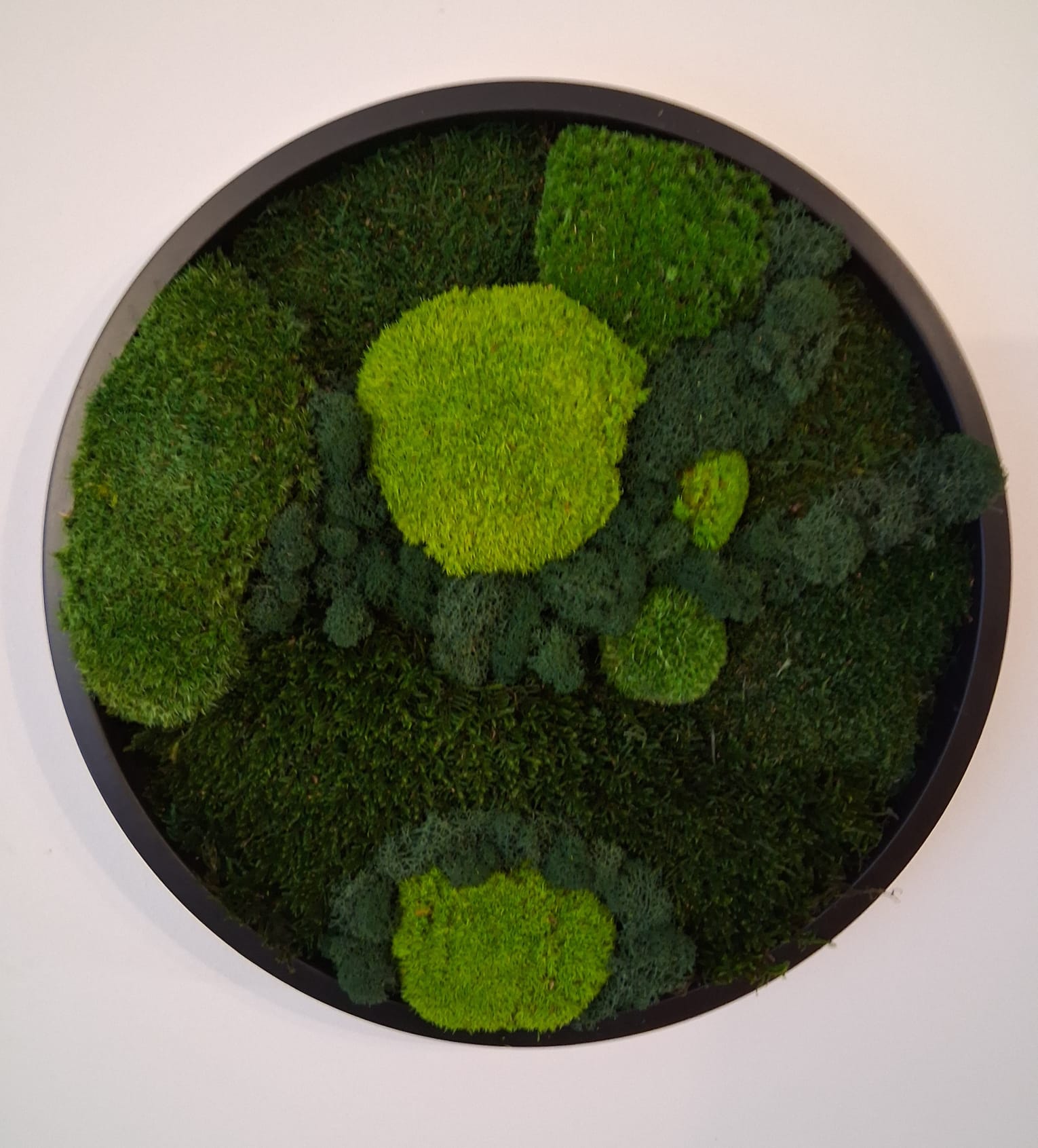 EcoFern foto 5