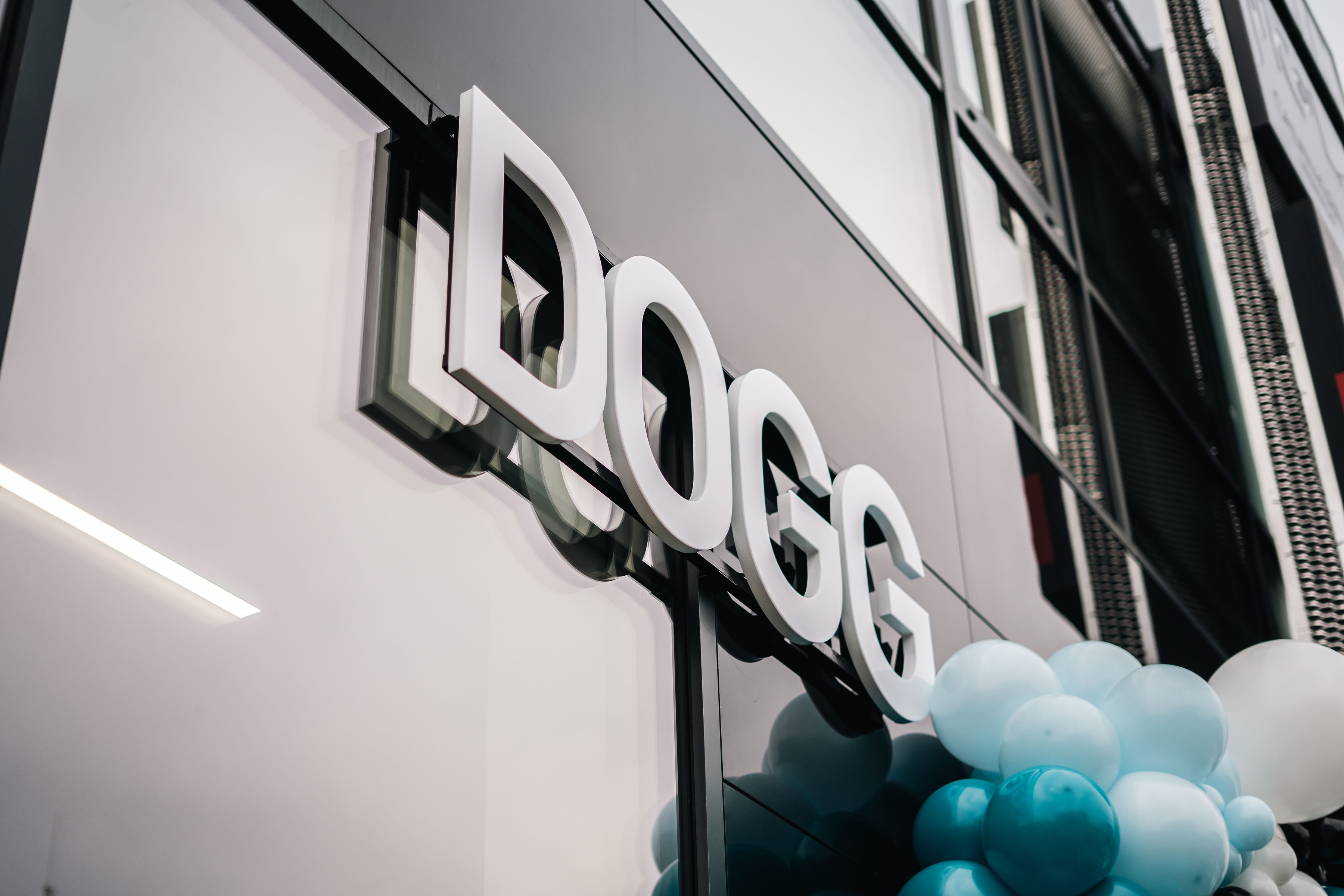 DOGG.CZ foto 3