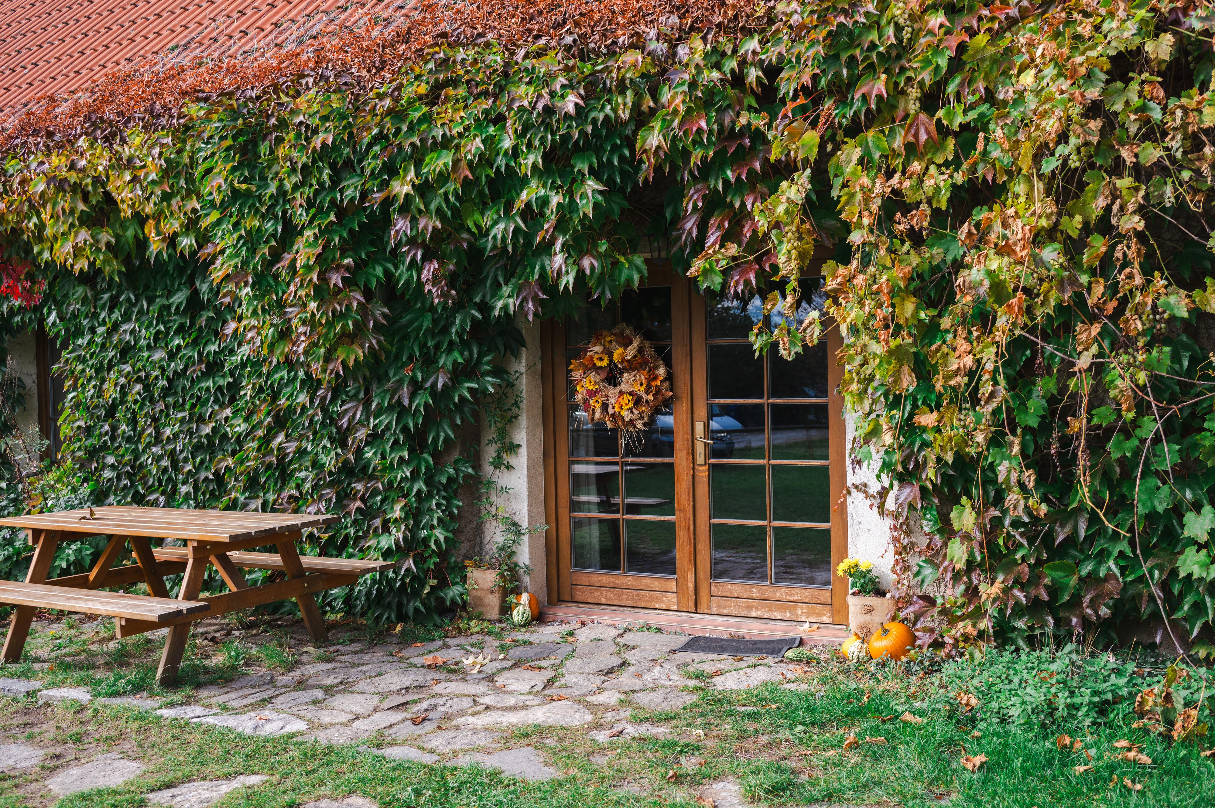 Statek Vranč ubytování foto 3