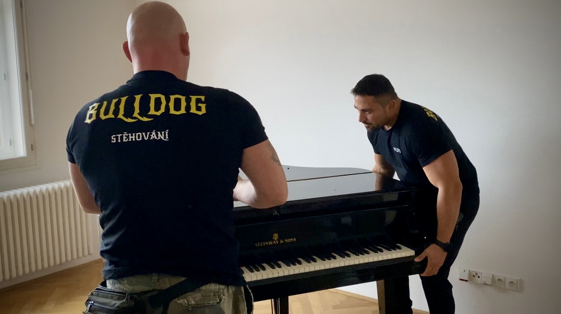 Stěhování Bulldog foto 5