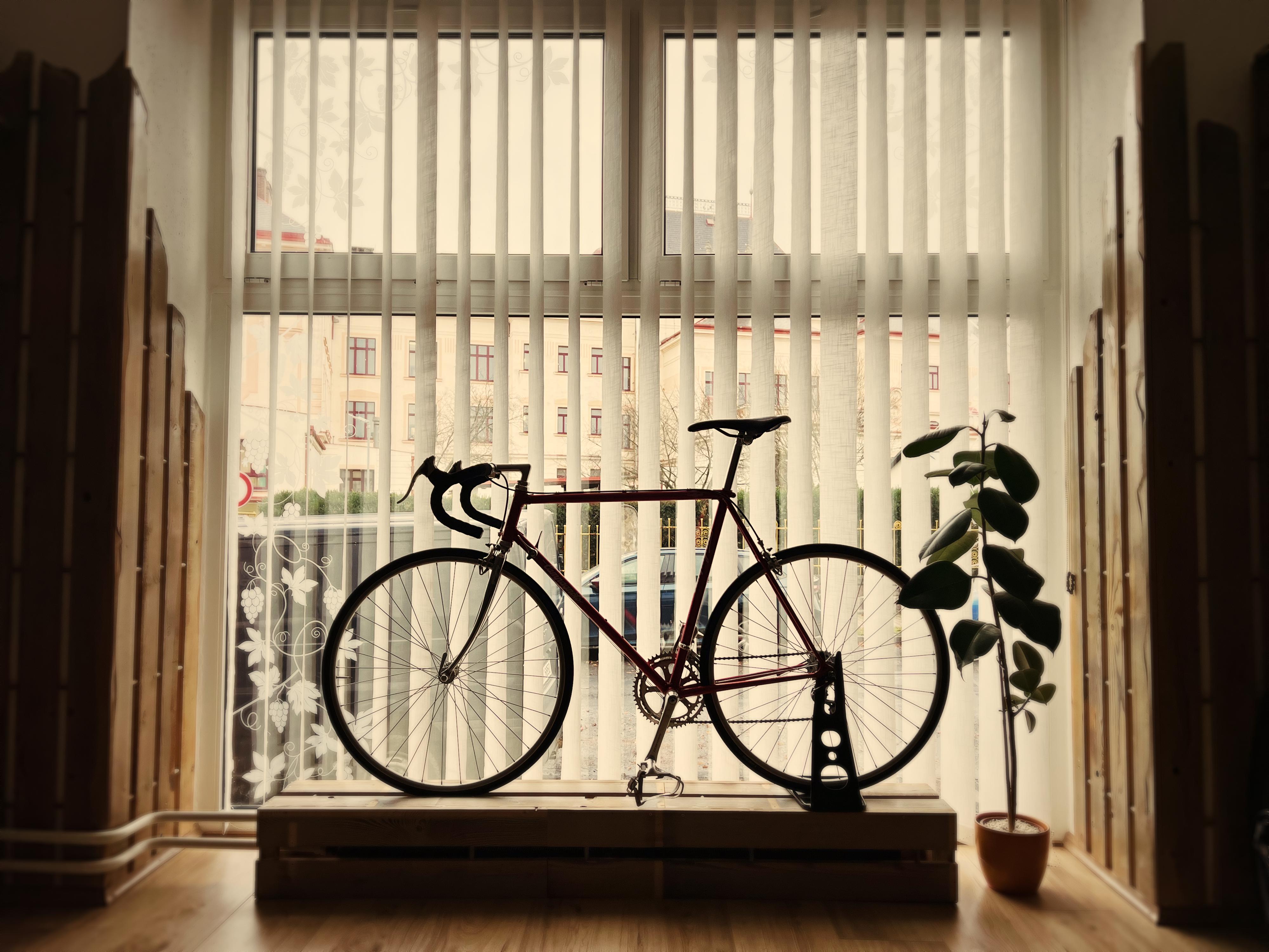 Alex Bicycles foto 1