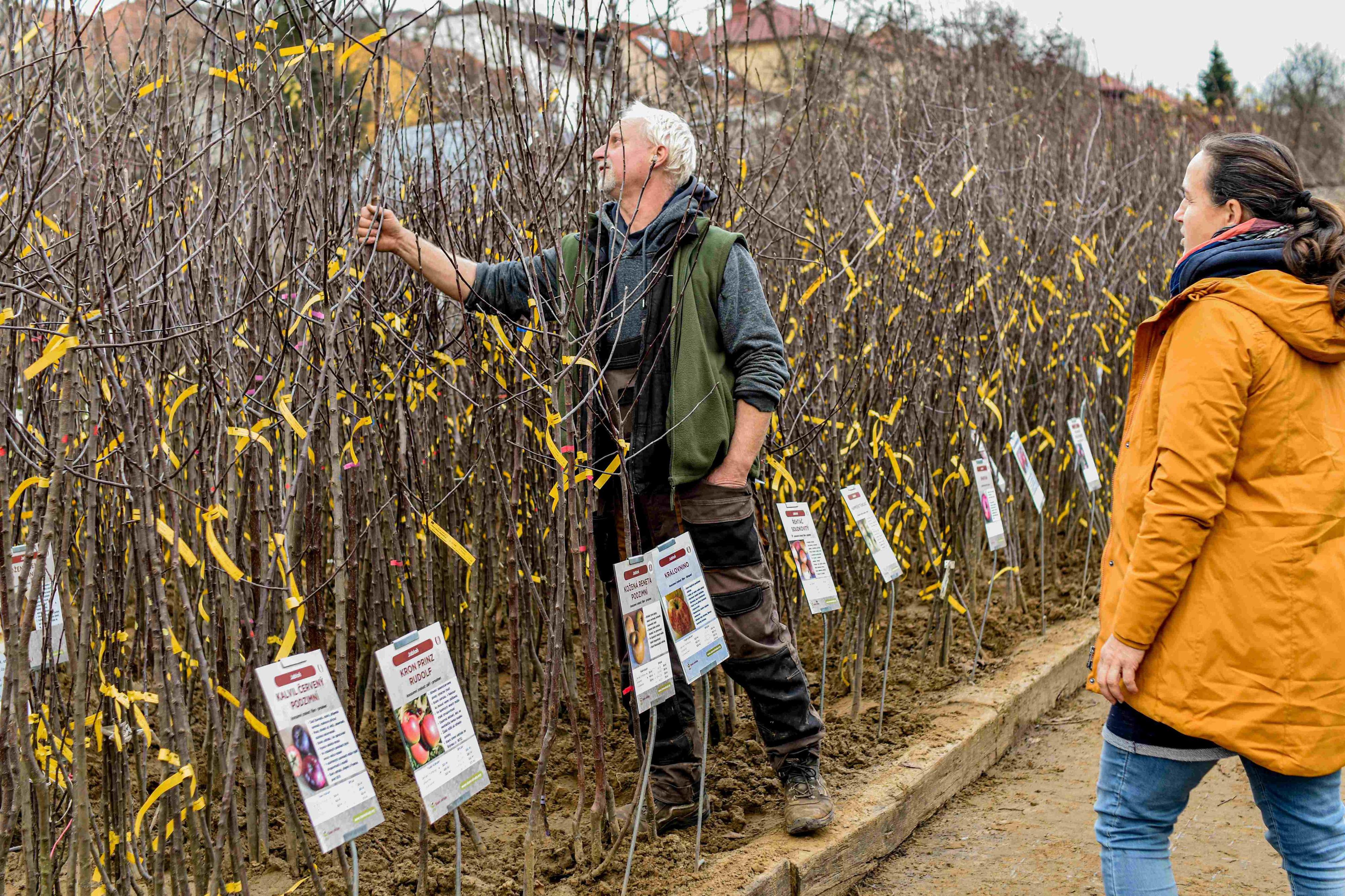 Ovocná školka Bojkovice - Radim Pešek foto 5