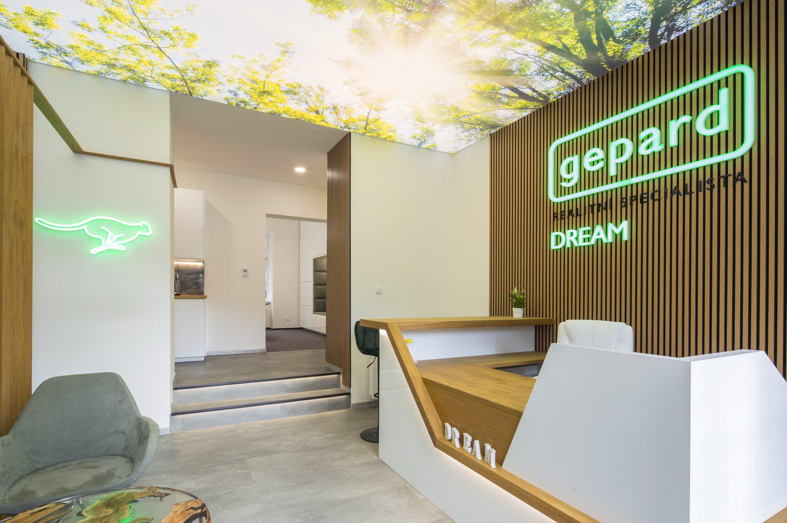 GEPARD REALITY/Dream