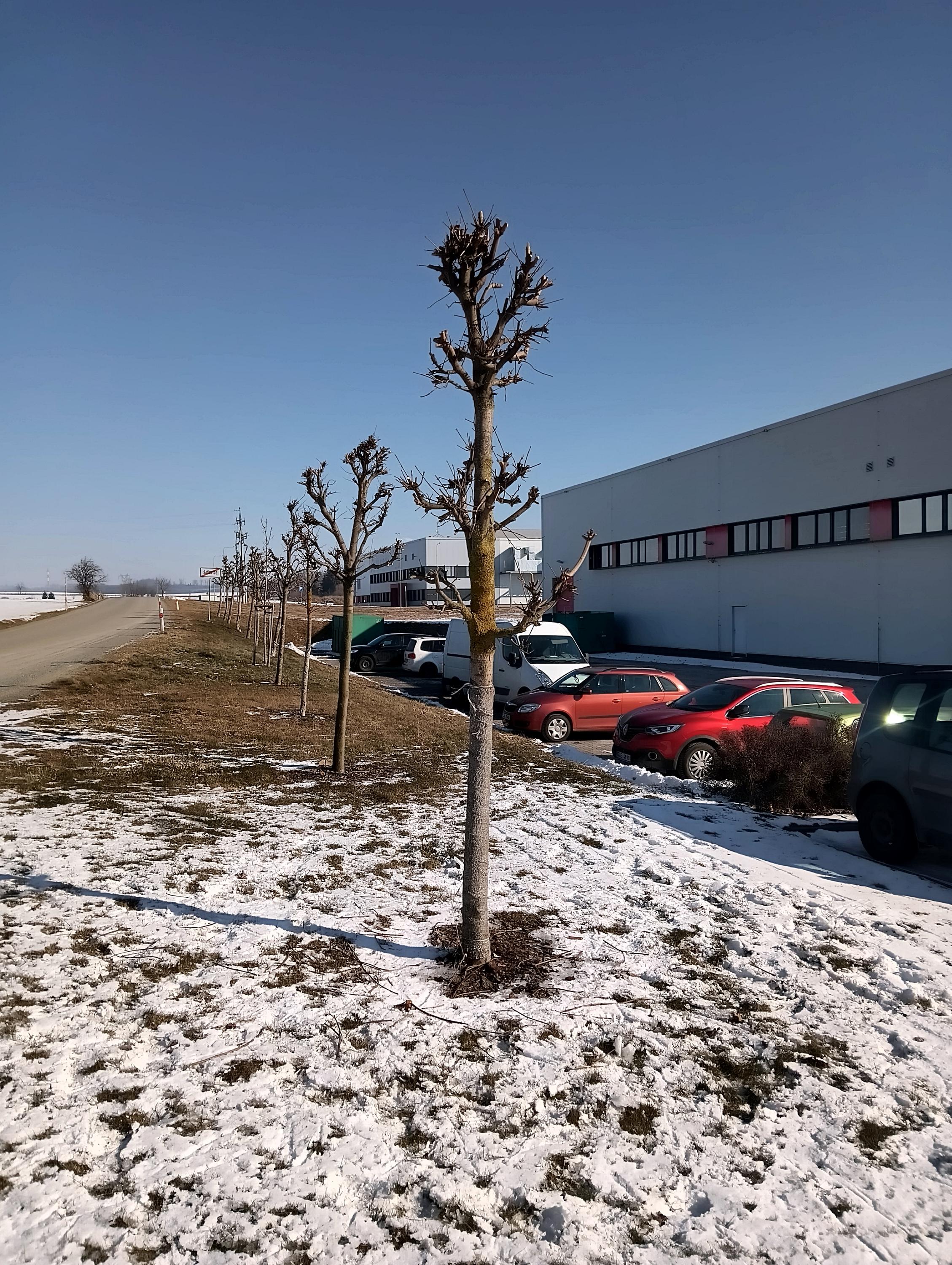 Zahrady Petr Vítů foto 3