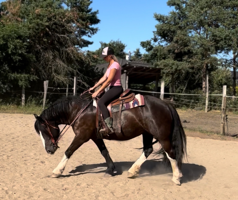 GKhorsemanship foto 6