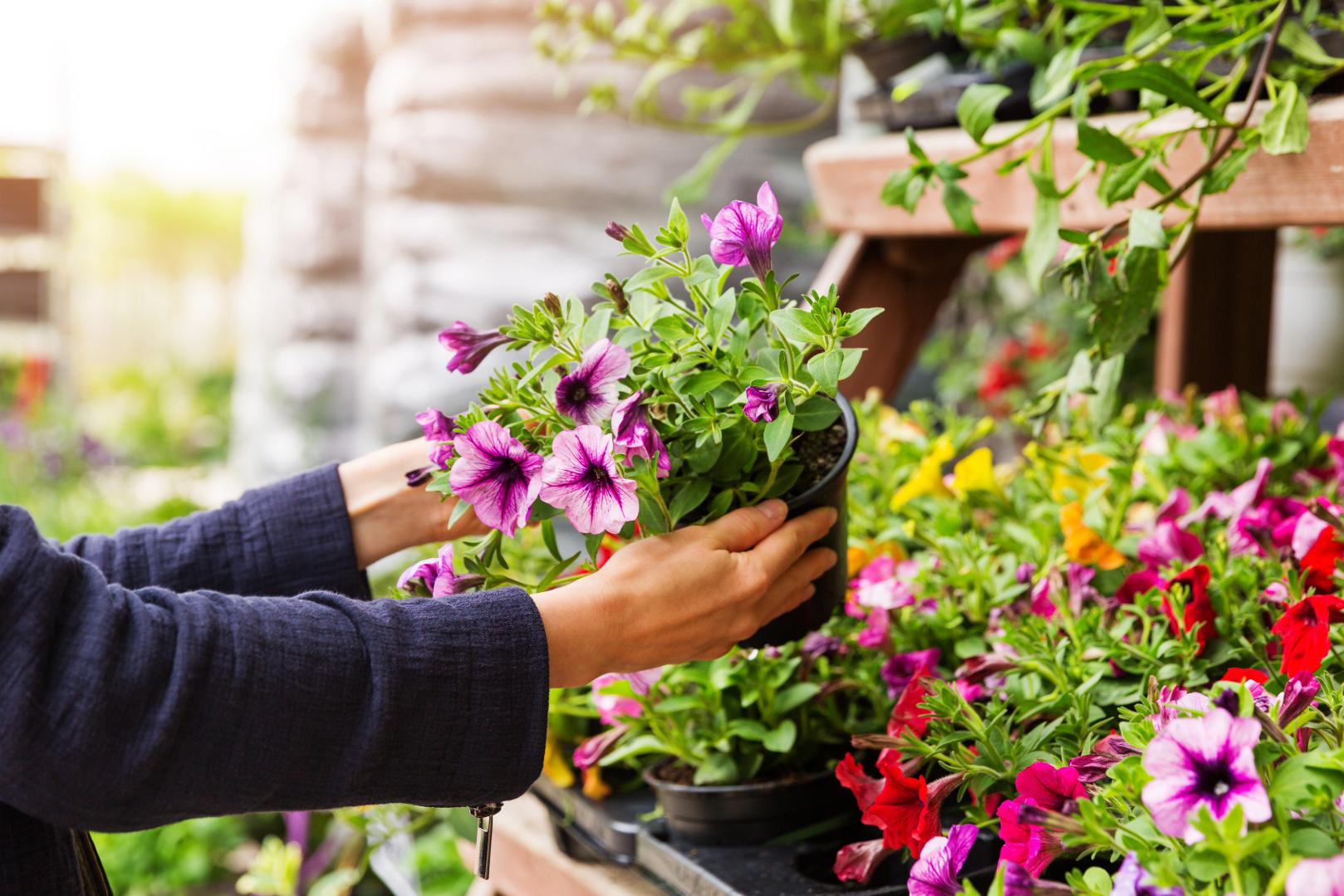 Zahradní centrum Lomič