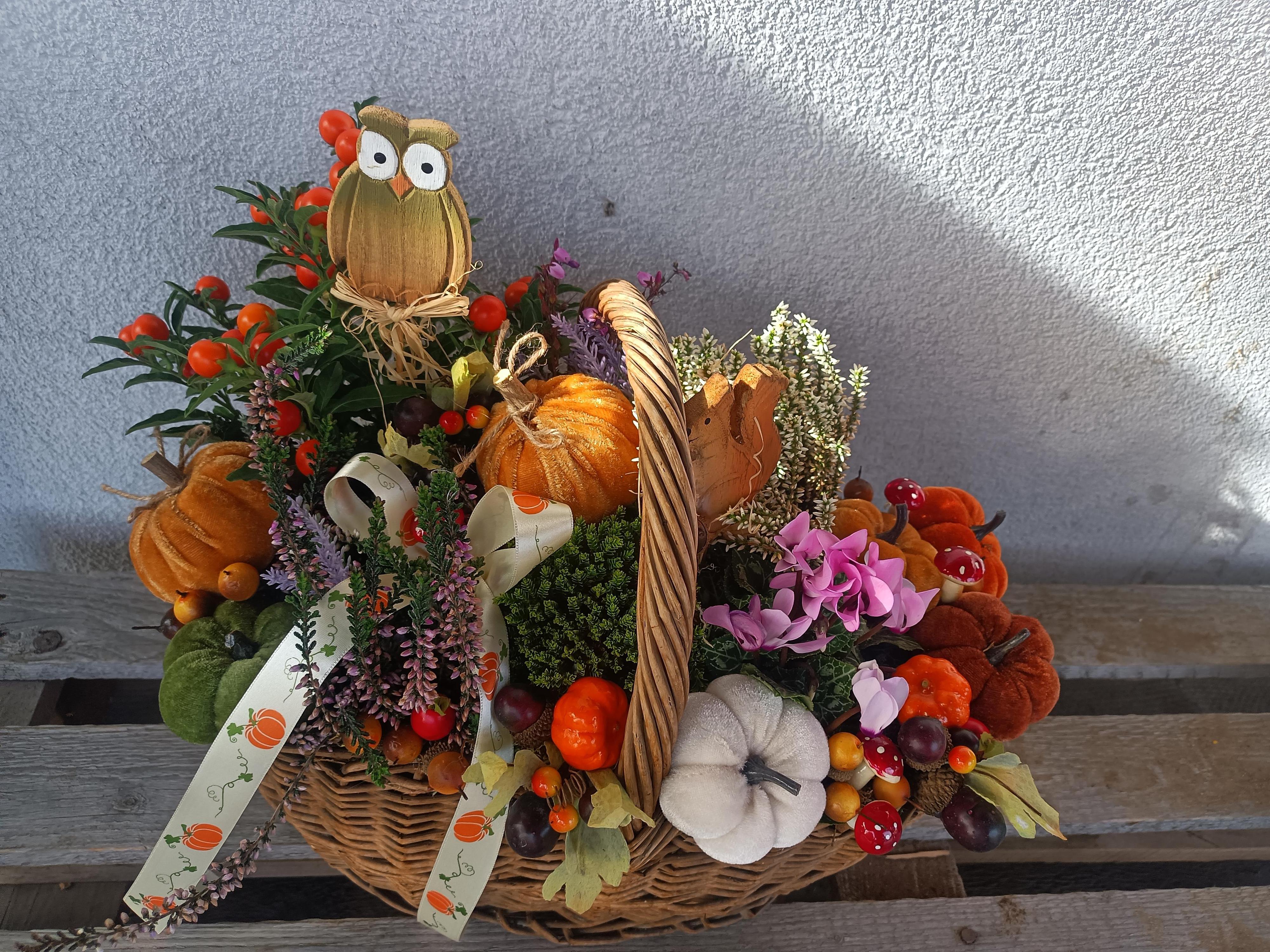 JETEL květinářství foto 6