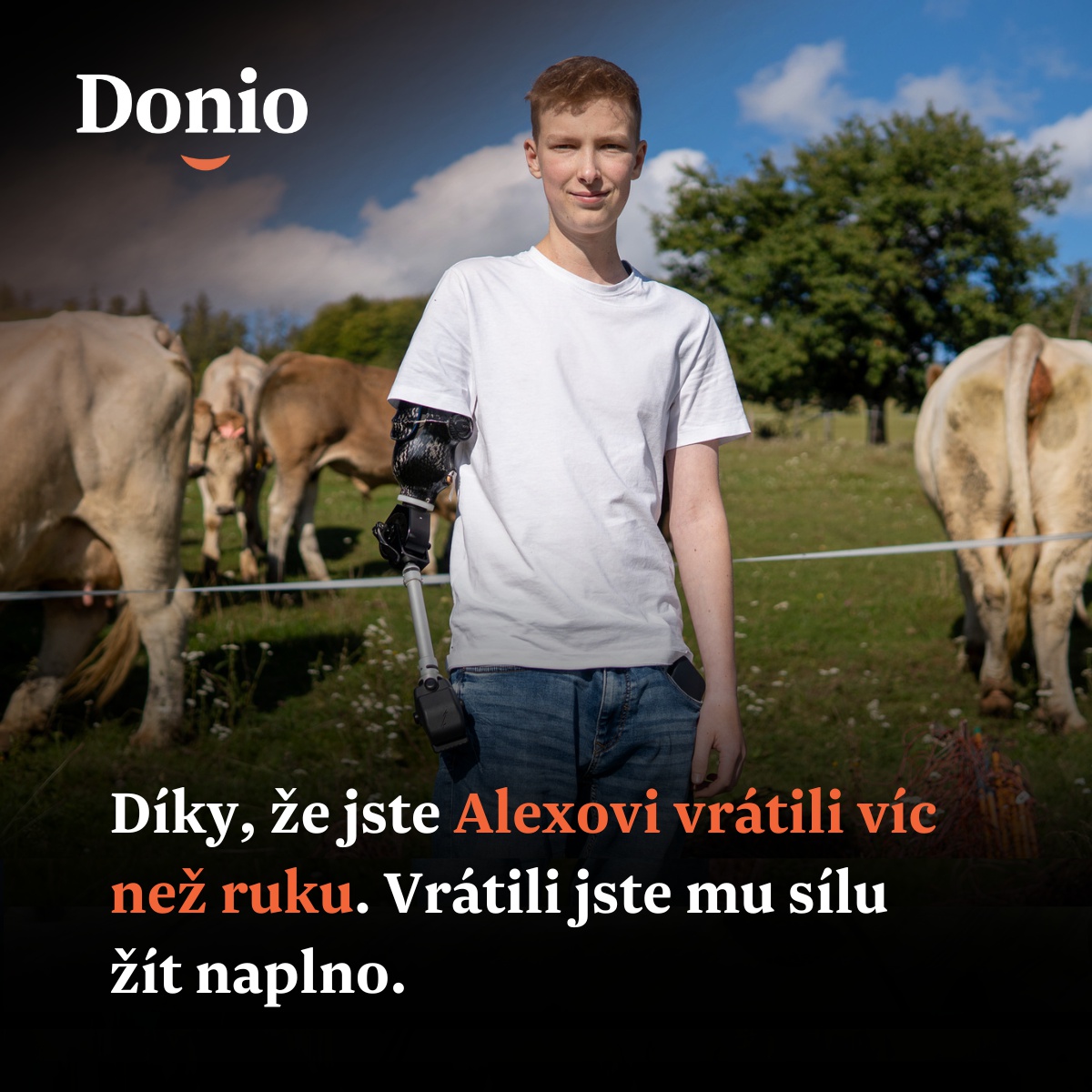 Nadační fond Donio foto 3