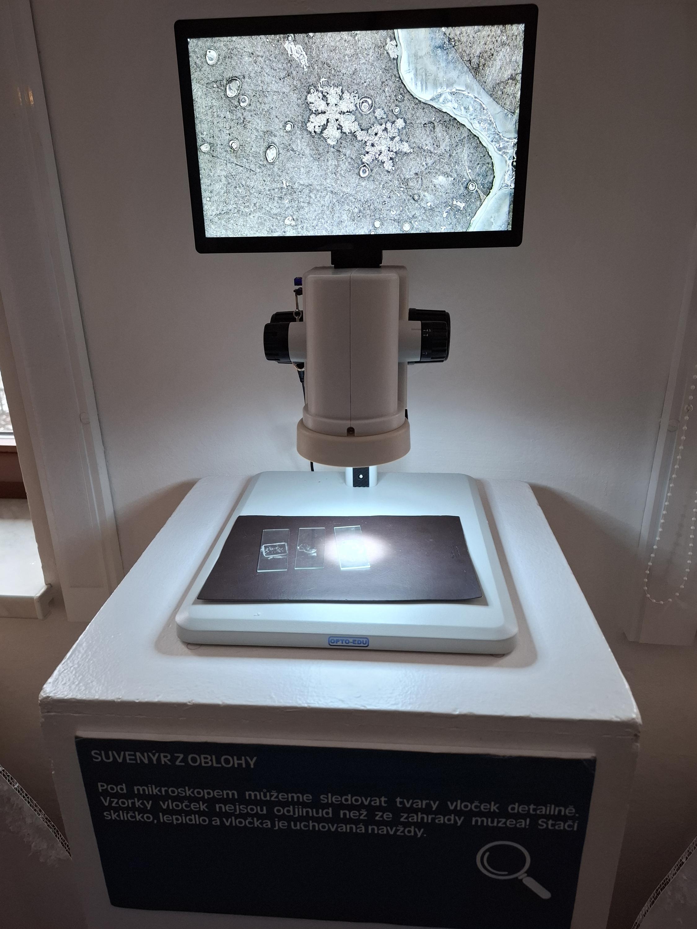 Sládečkovo vlastivědné muzeum v Kladně foto 5