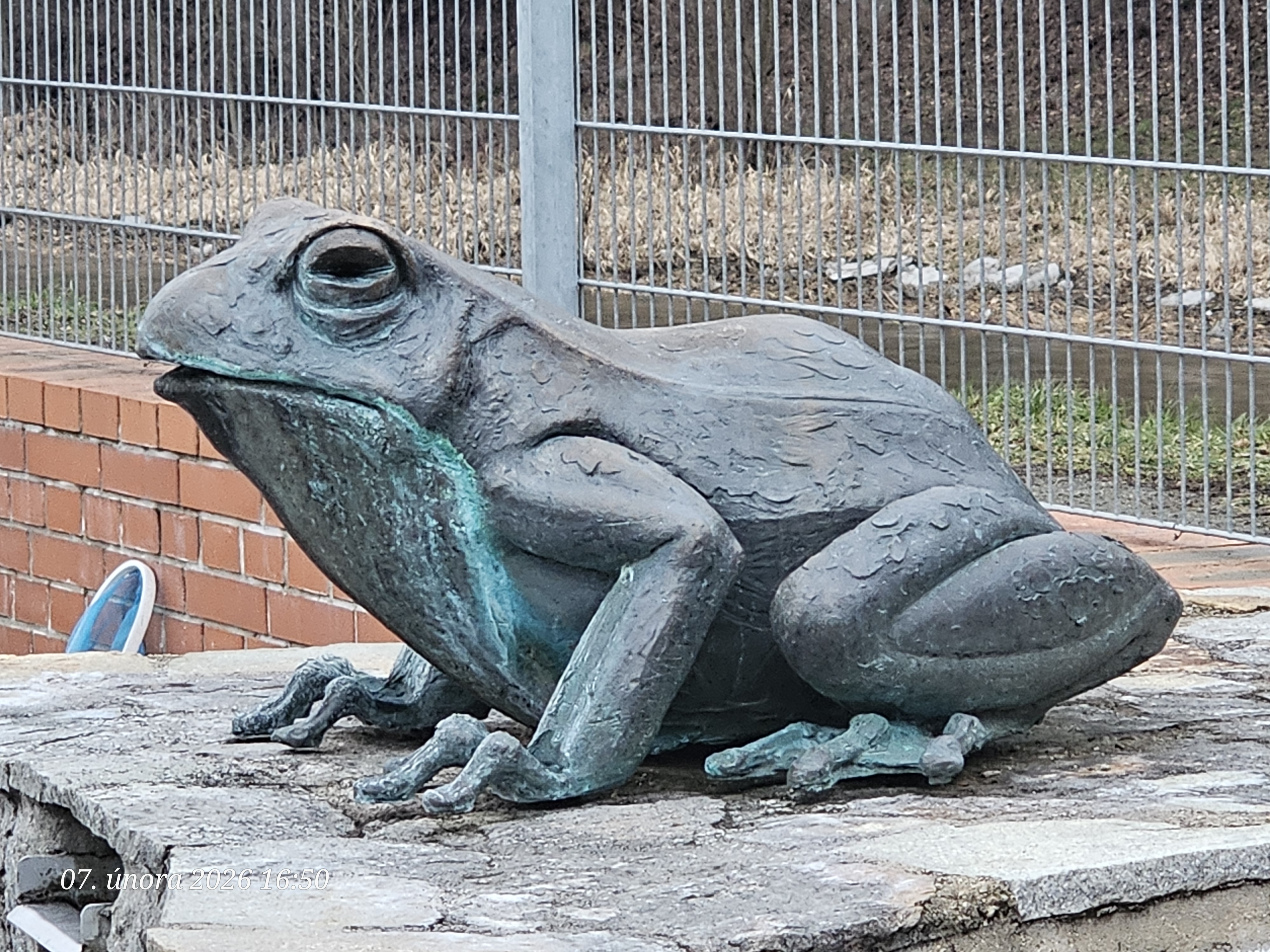 Zámecký biotop foto 5