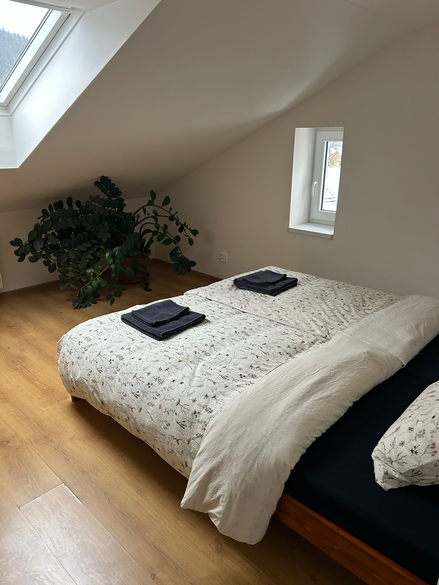 Apartmány Slovan foto 2