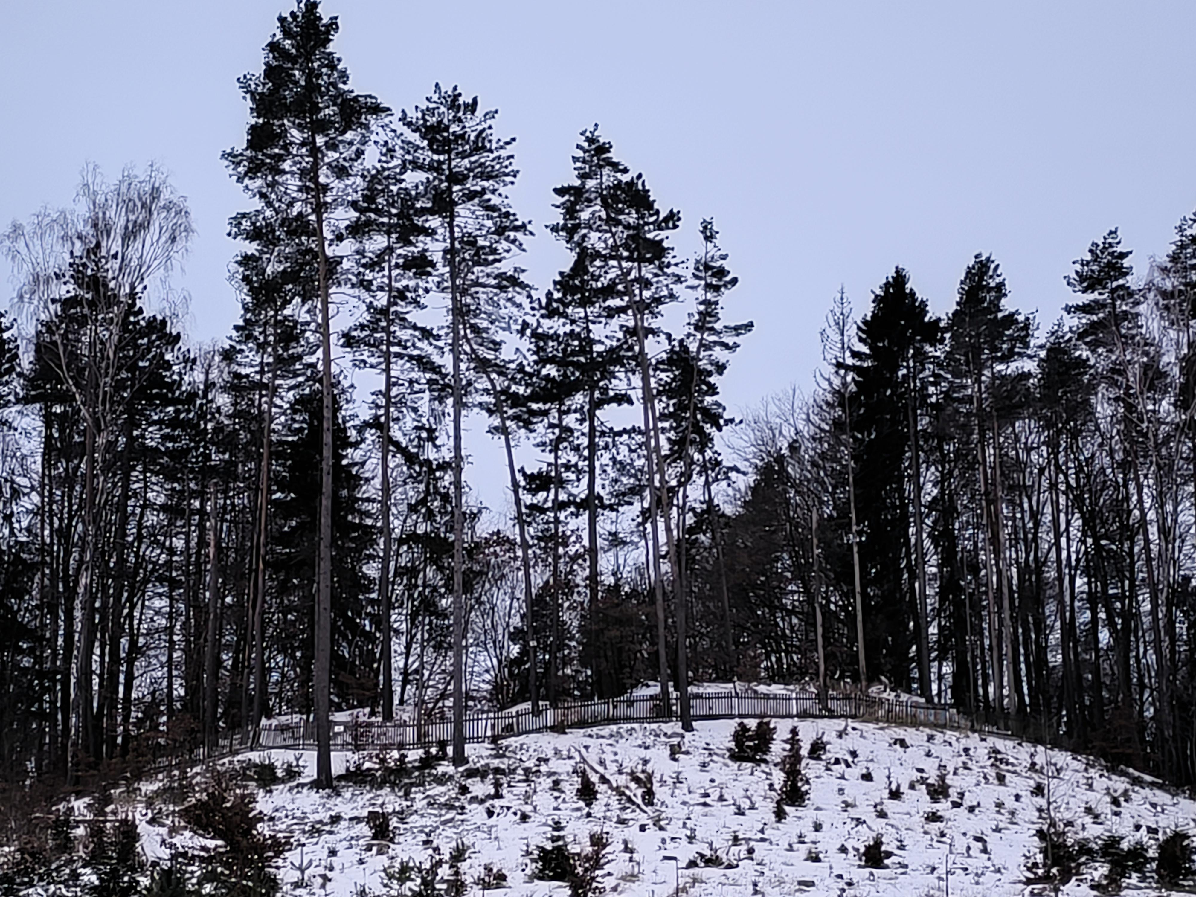 Střelnice SOPKA Nová Paka foto 2