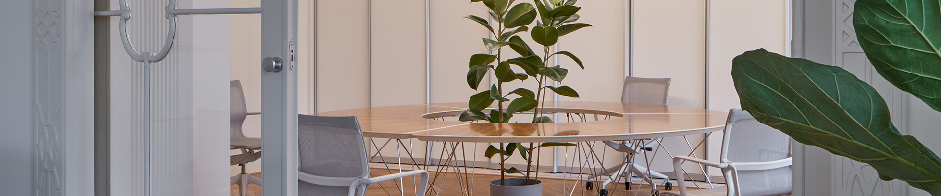 Úvodní obrázek Feelhome by Svoboda & Williams