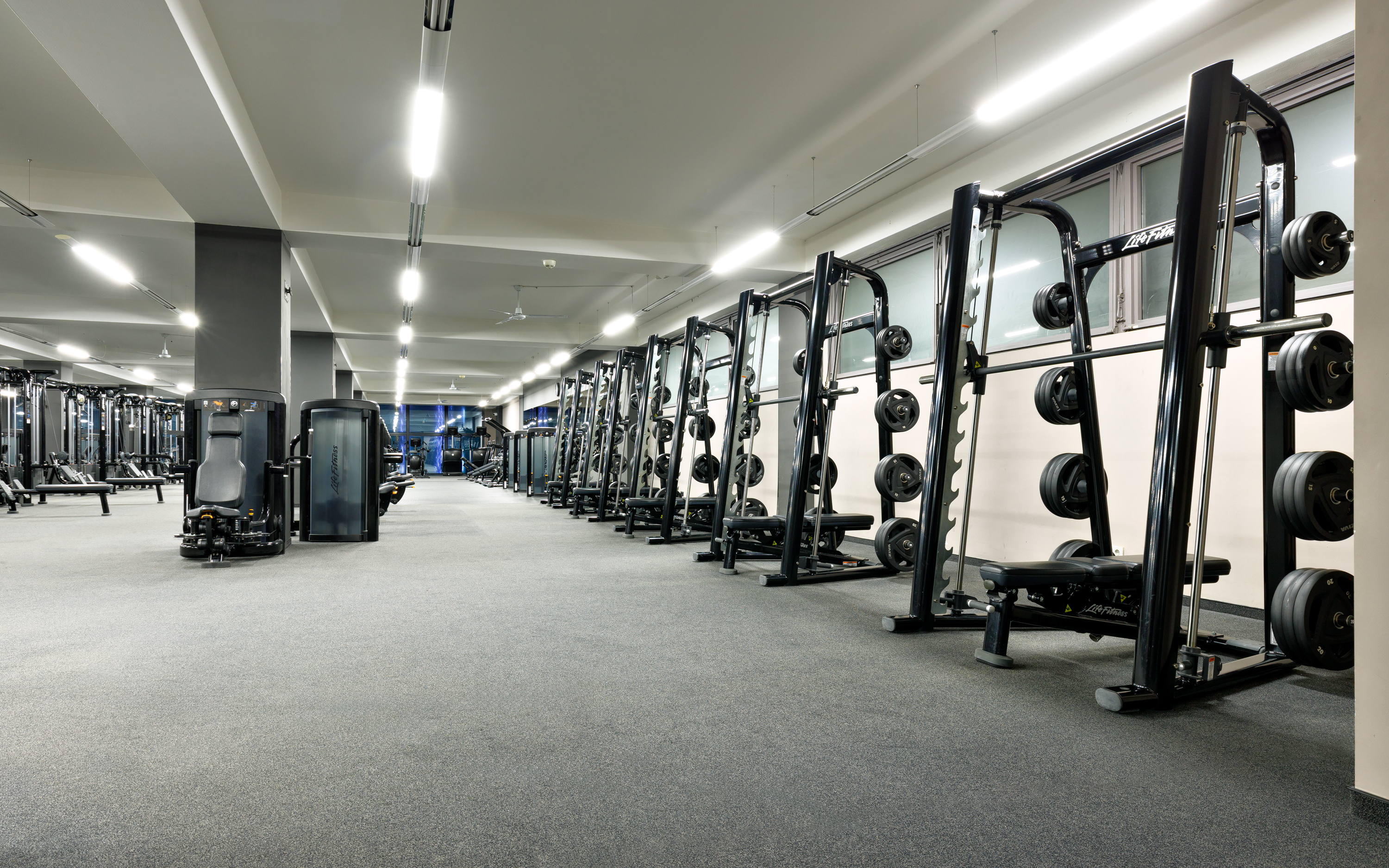 Max Fitness Bílá Labuť foto 5