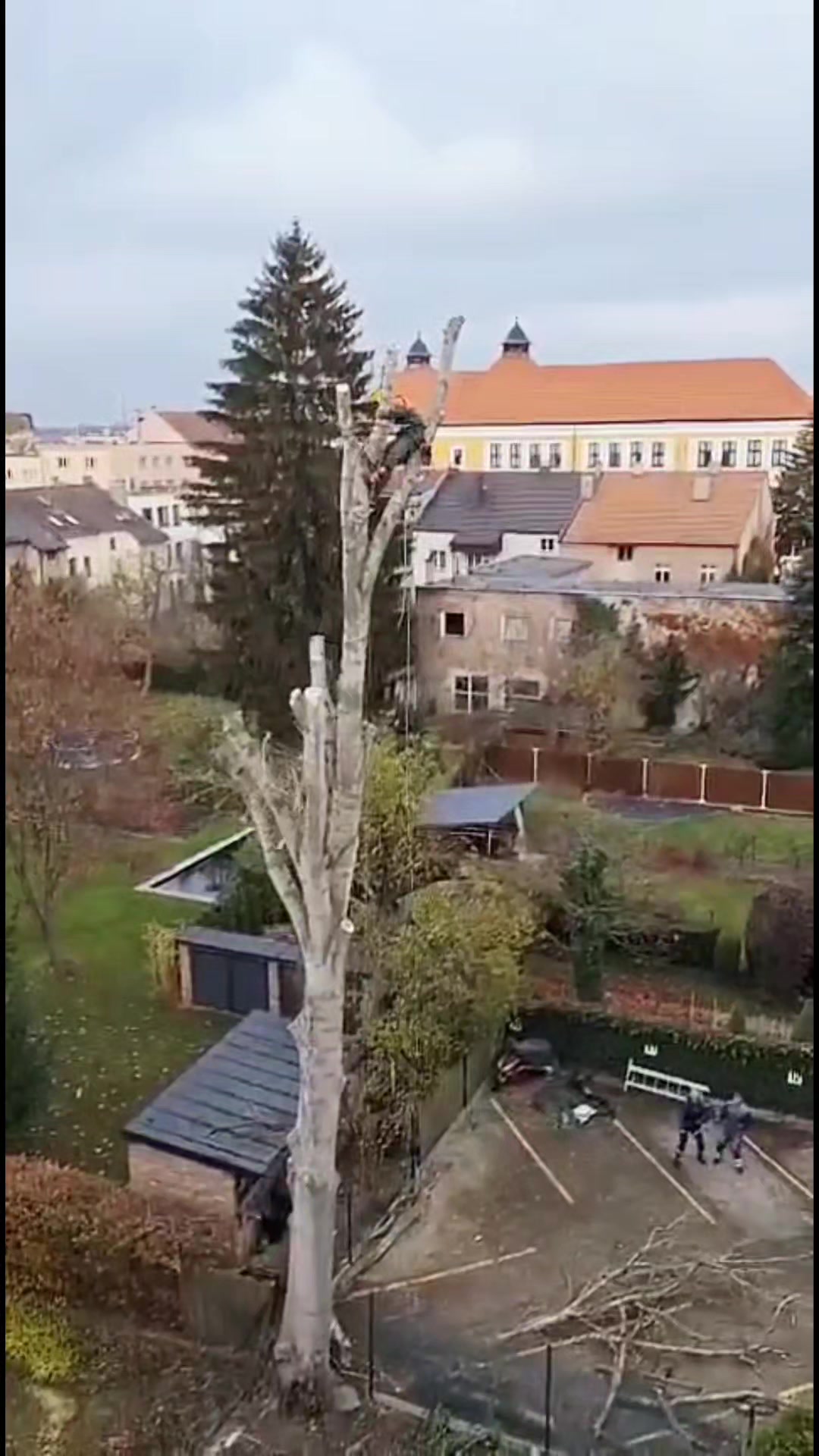 Aleš Nedbal - zahradní práce foto 2 (náhled videa)