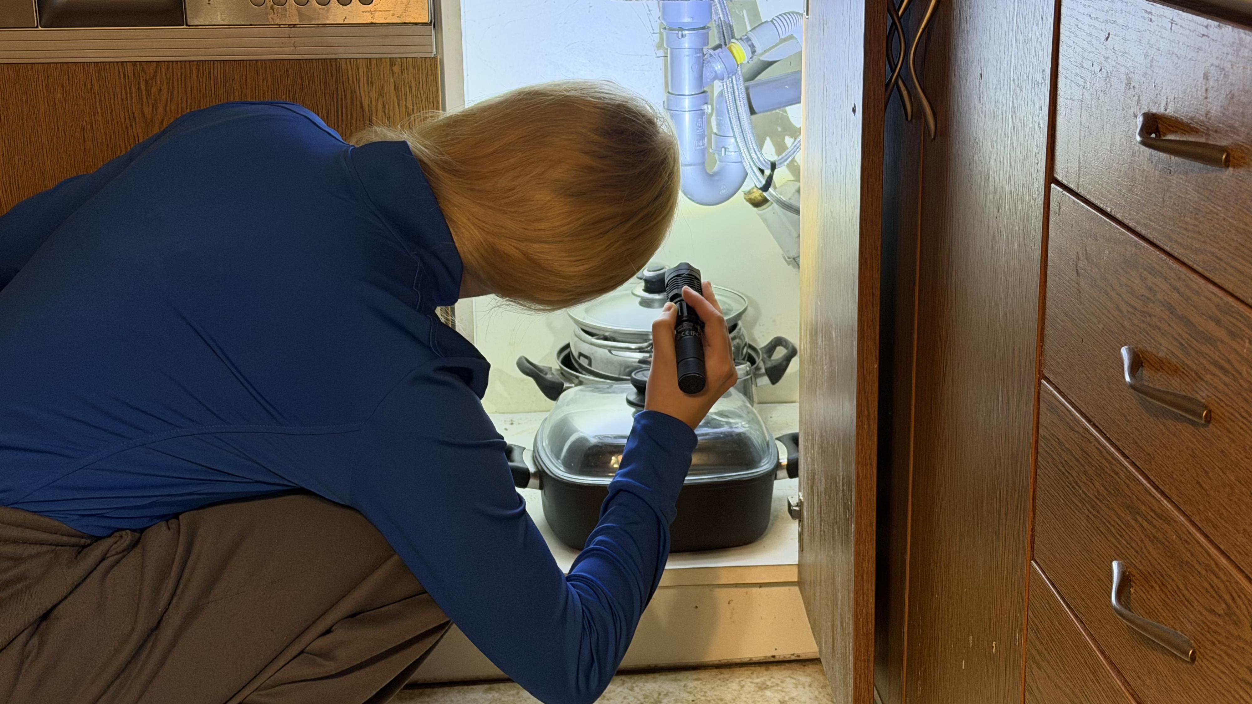 Stop štěnicím - deratizace, dezinsekce, dezinfekce foto 3