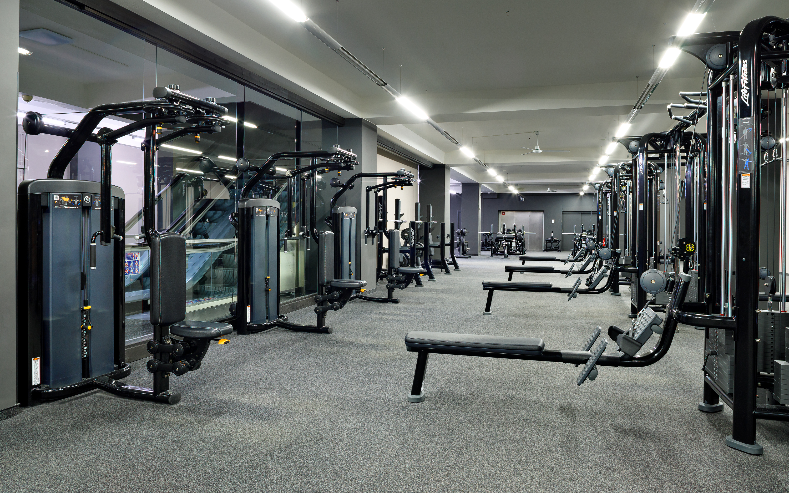 Max Fitness Bílá Labuť foto 3