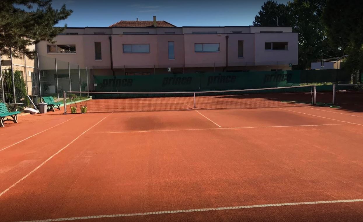 Tenis Shark