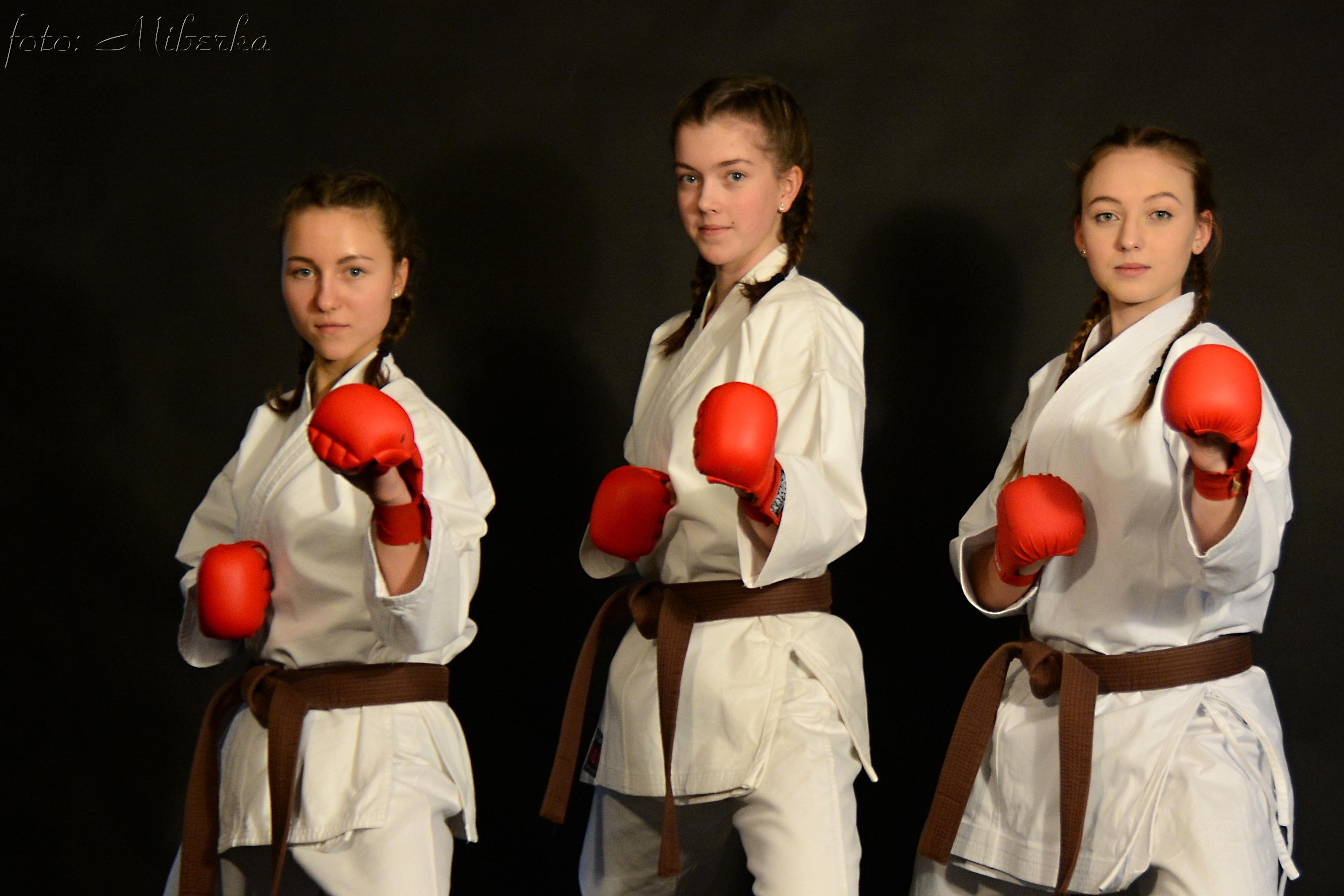 Sportovní klub bojových umění Hostivař foto 5