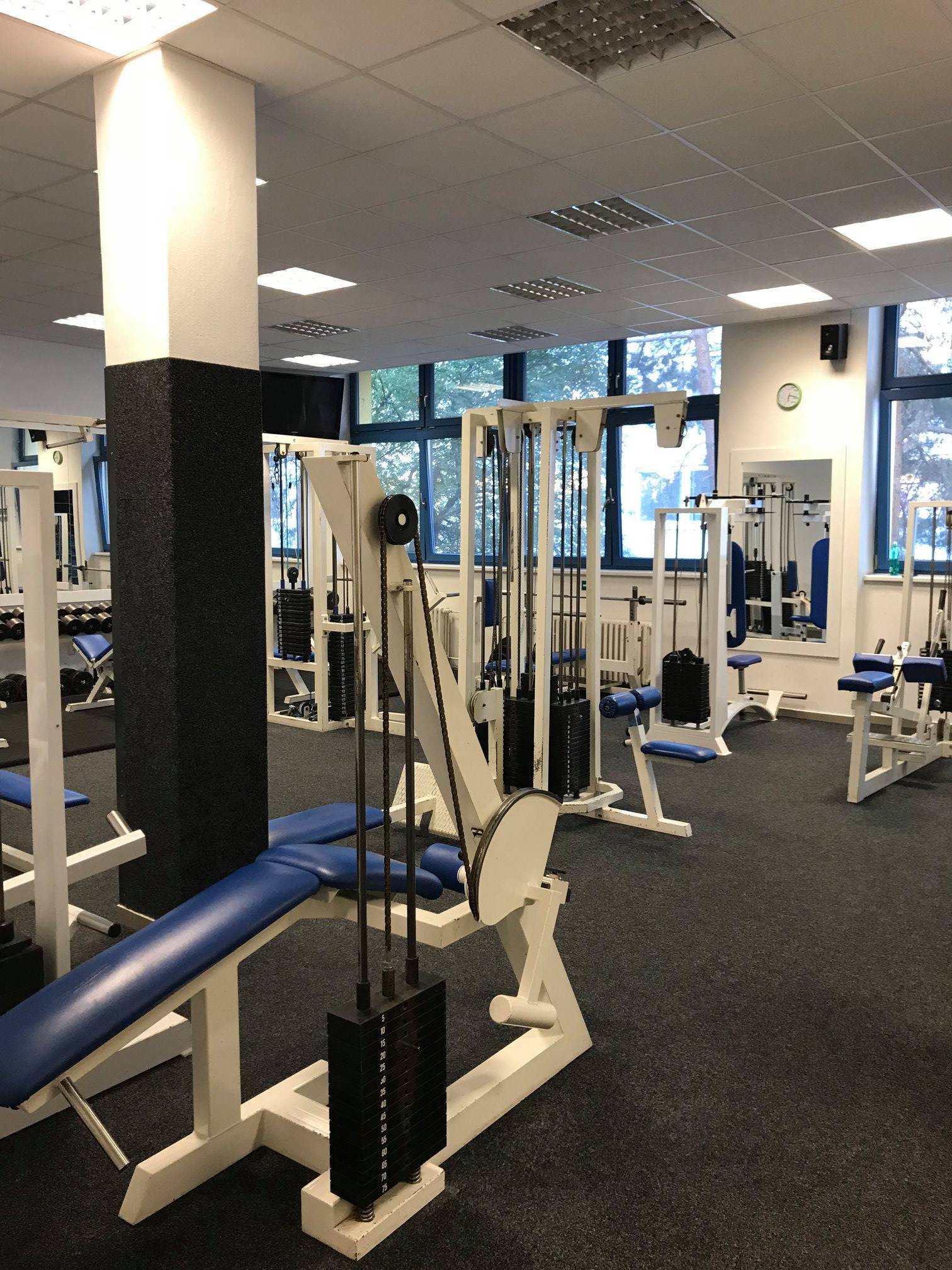 Gym Rat Family foto 5