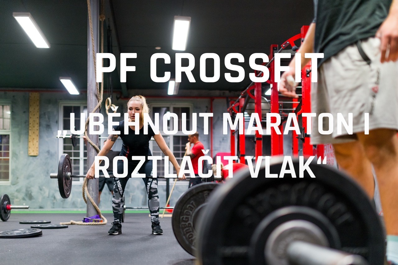Profitko Training Center foto 5