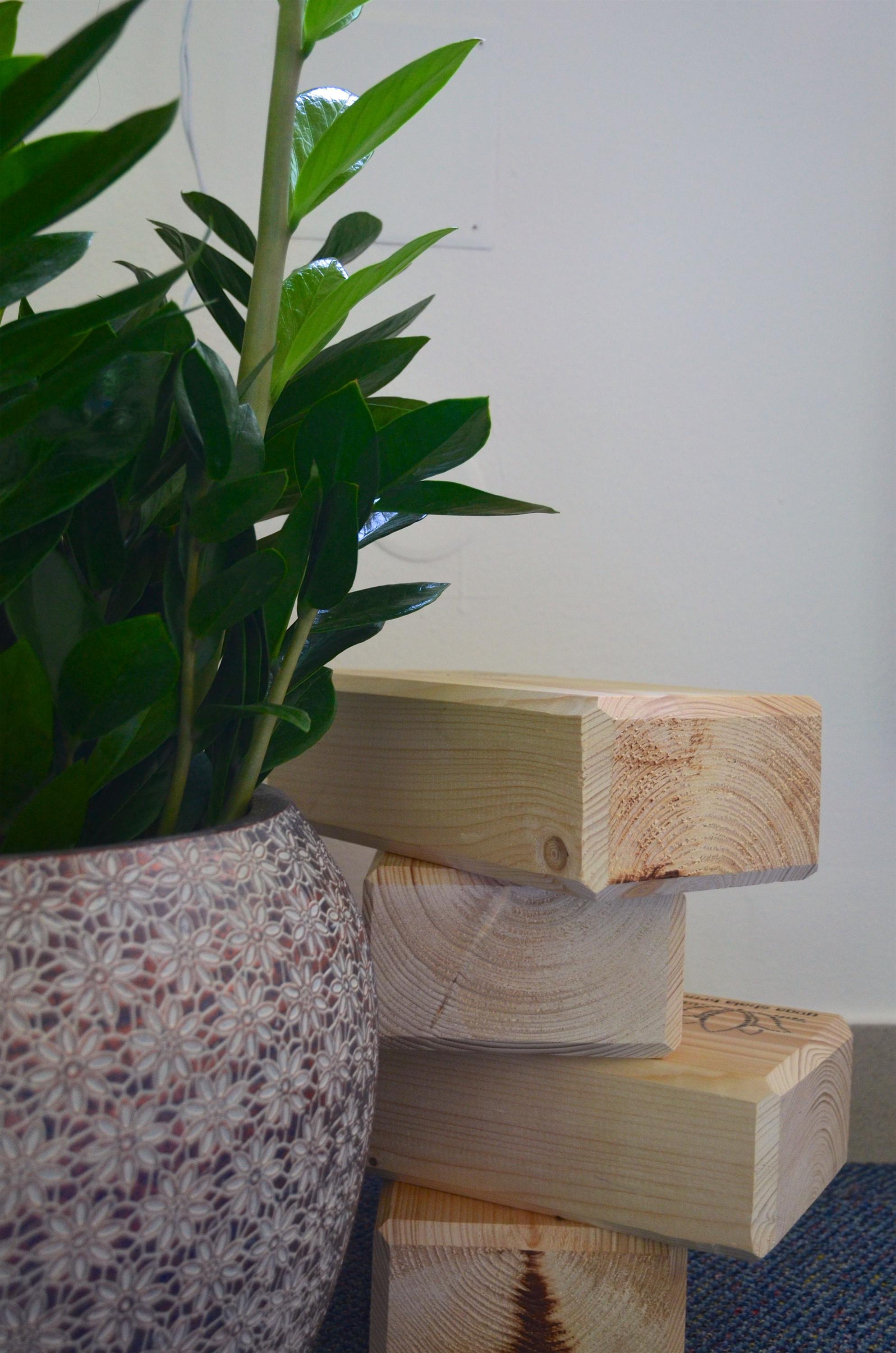 Yoga Shala Brno foto 4