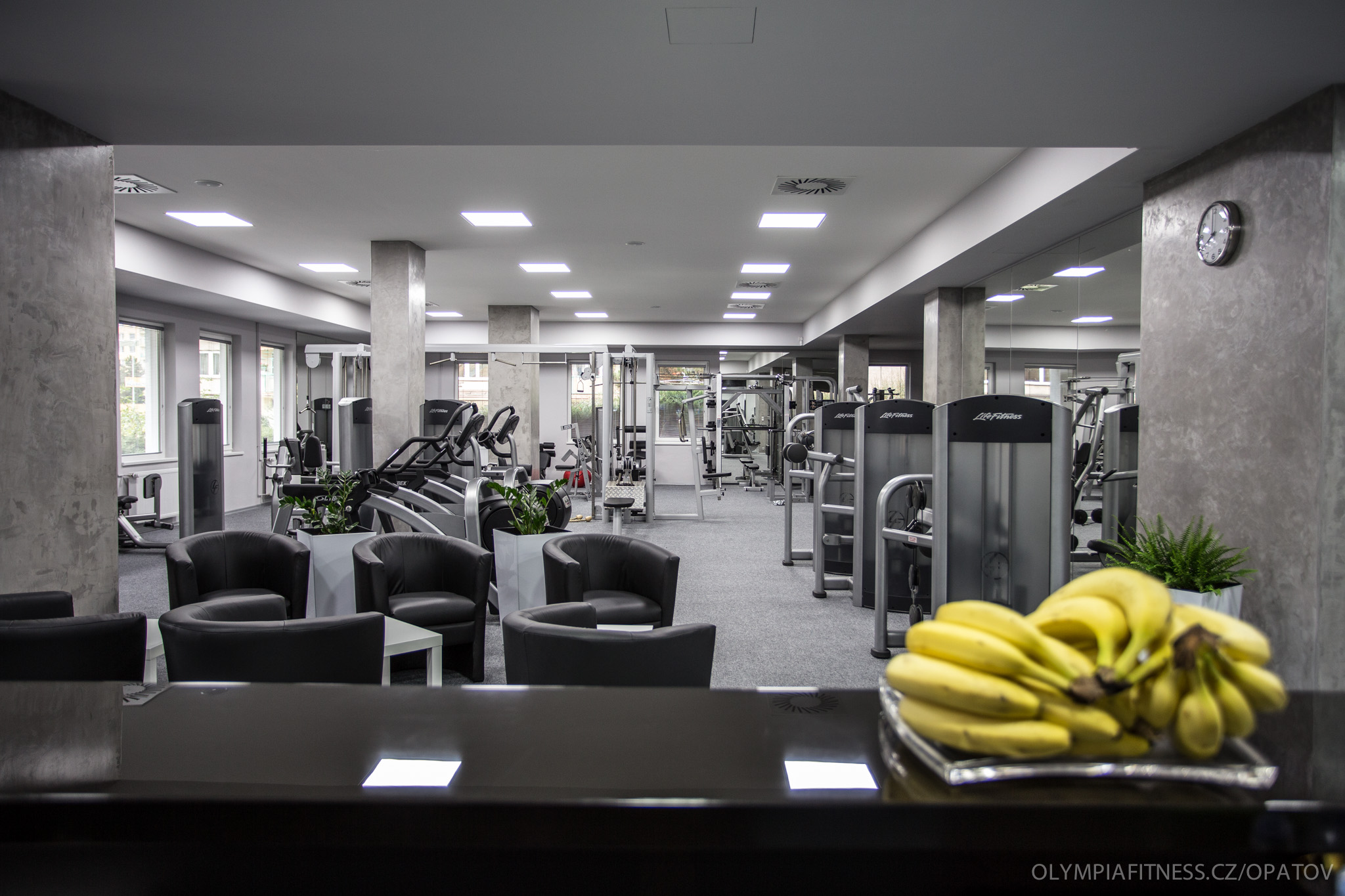 Olympia Fitness foto 2