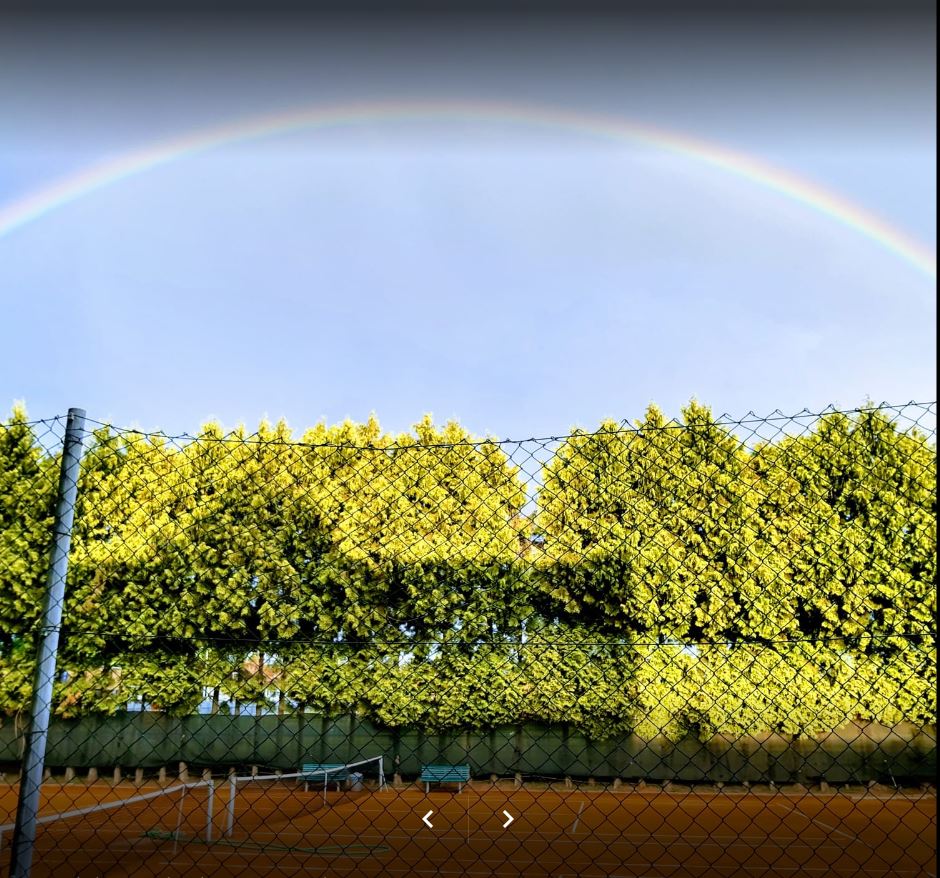 Tenis Shark foto 2