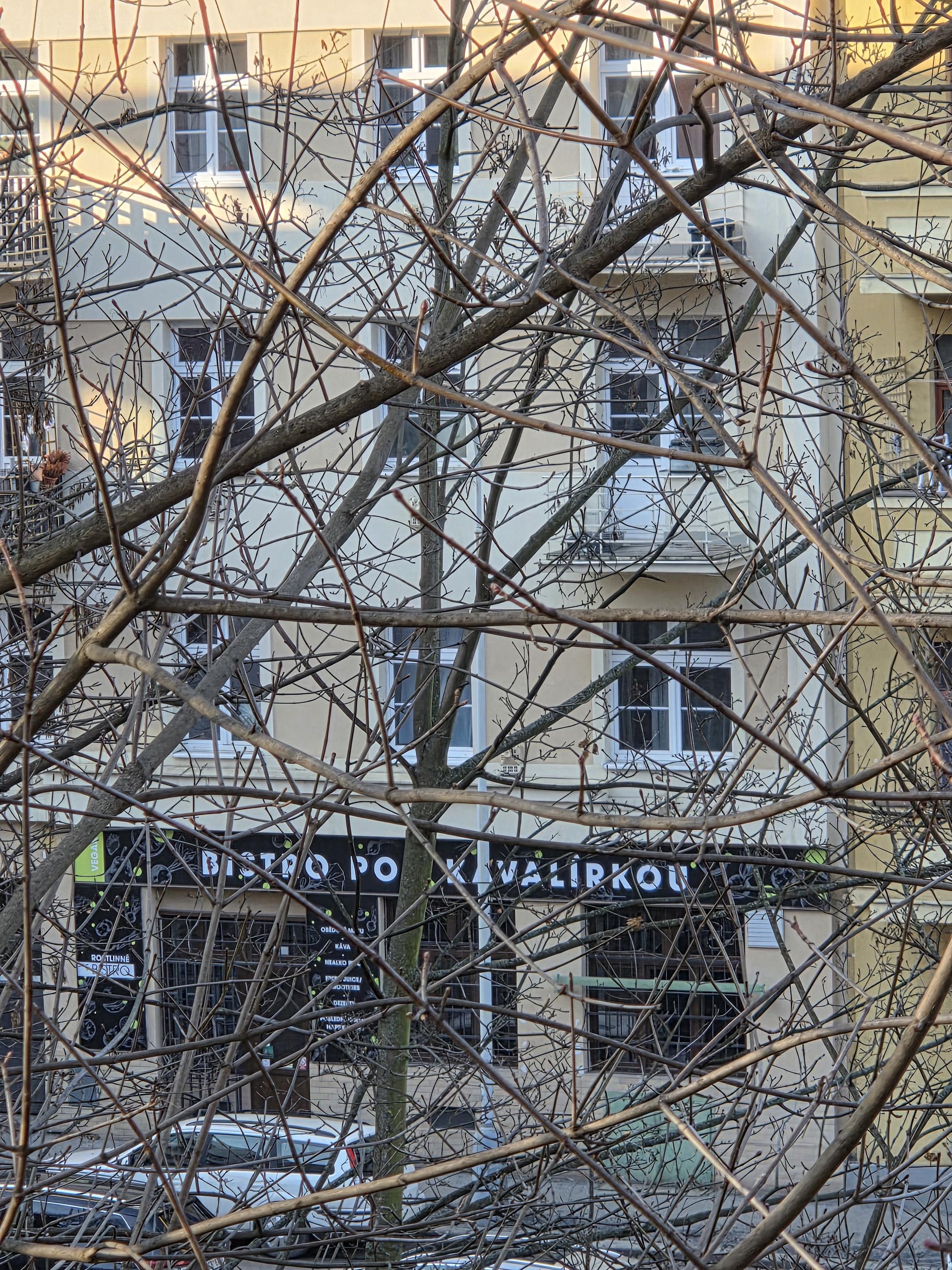 Bistro Pod Kavalírkou foto 4