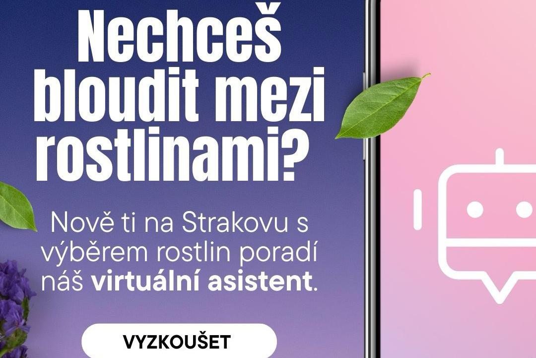Novinka v ZC Strakovo - nový asistent !!