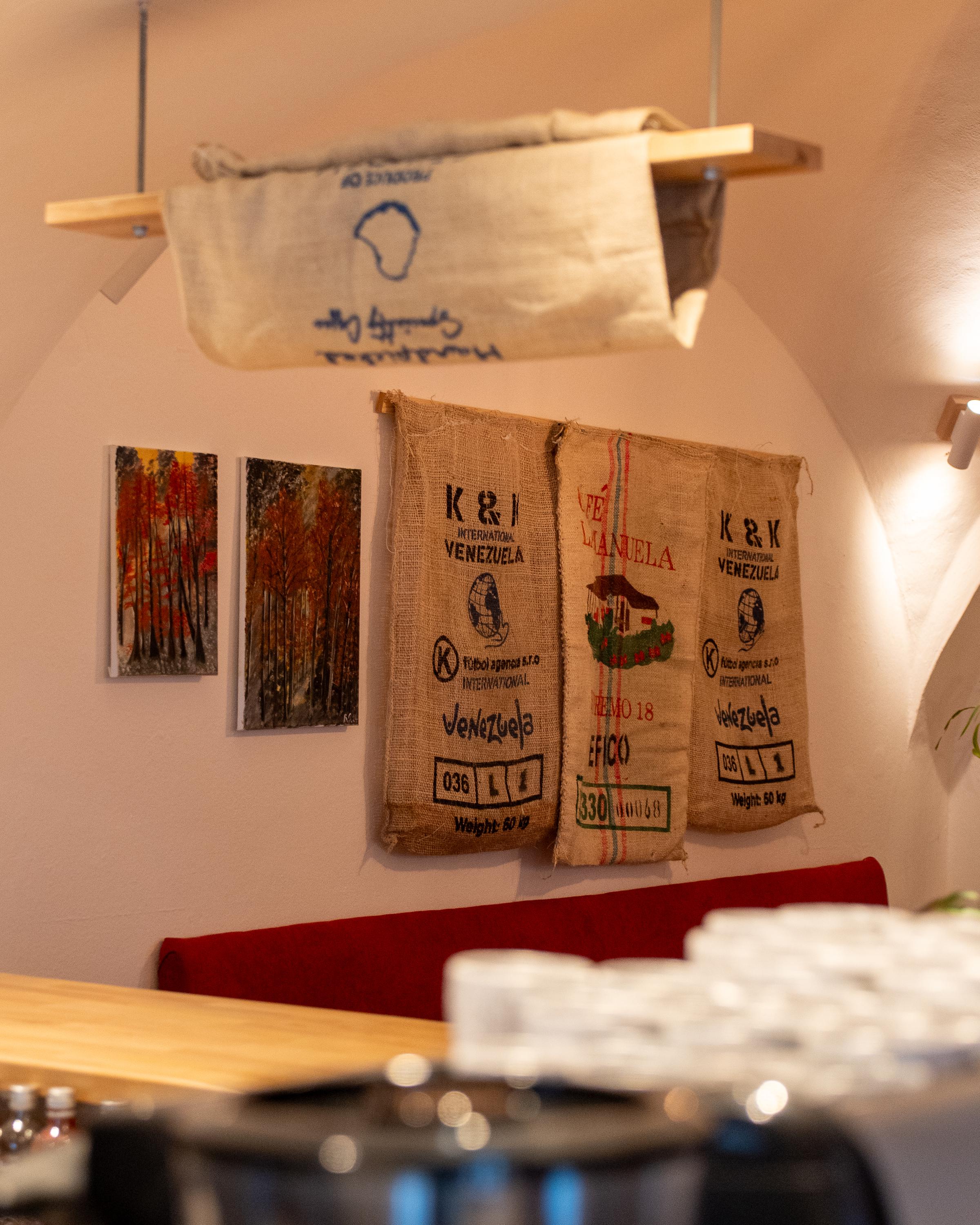 Sova na Větvi foto 3