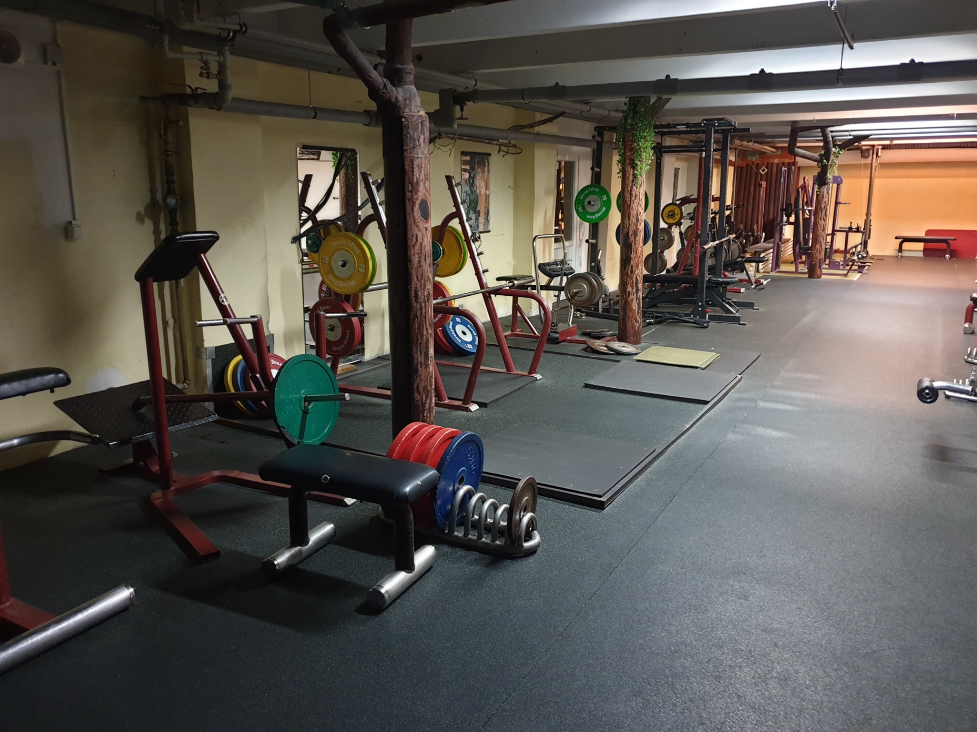 Factory-Fitness foto 5