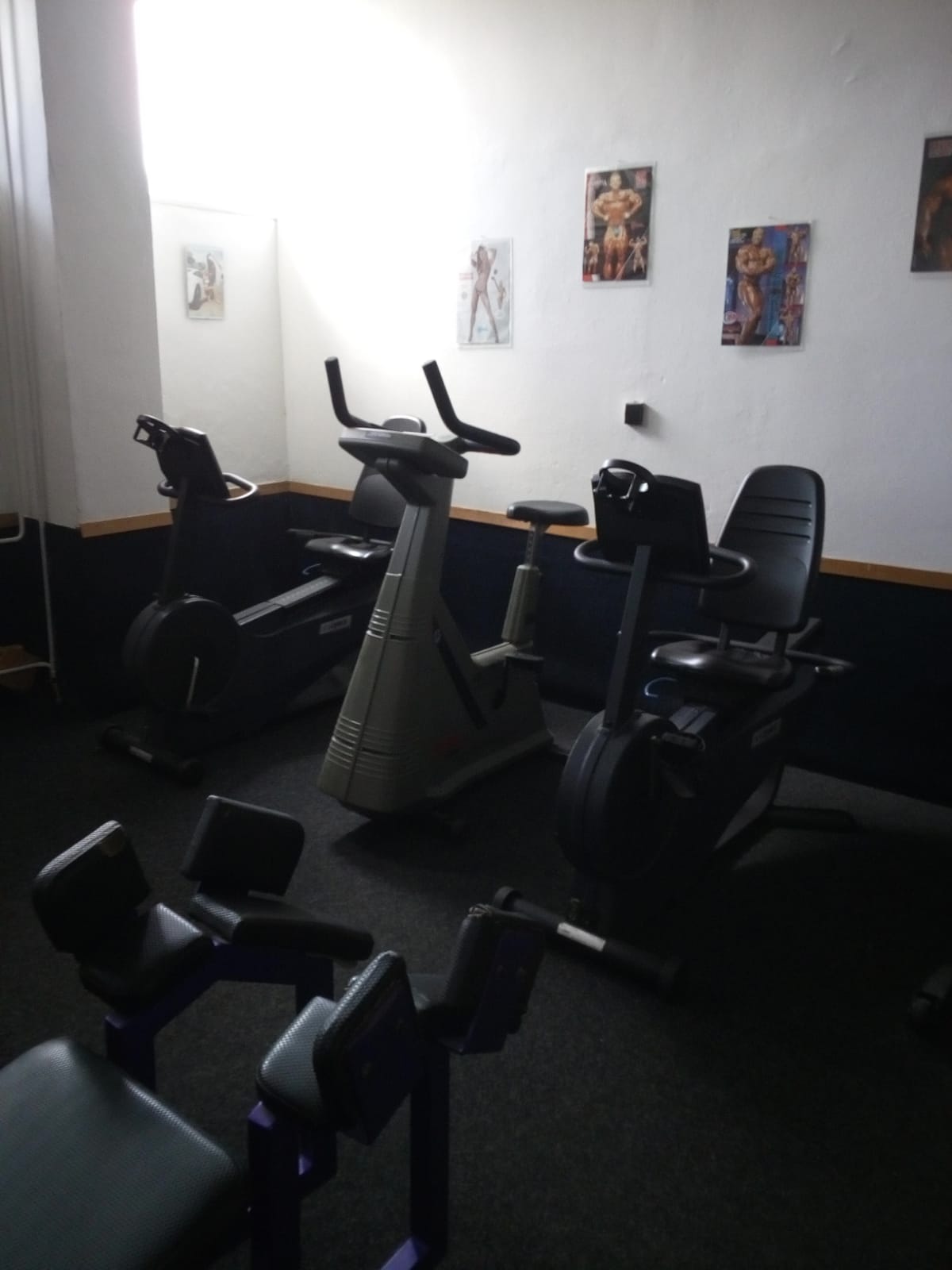 Fitness Ježek foto 4