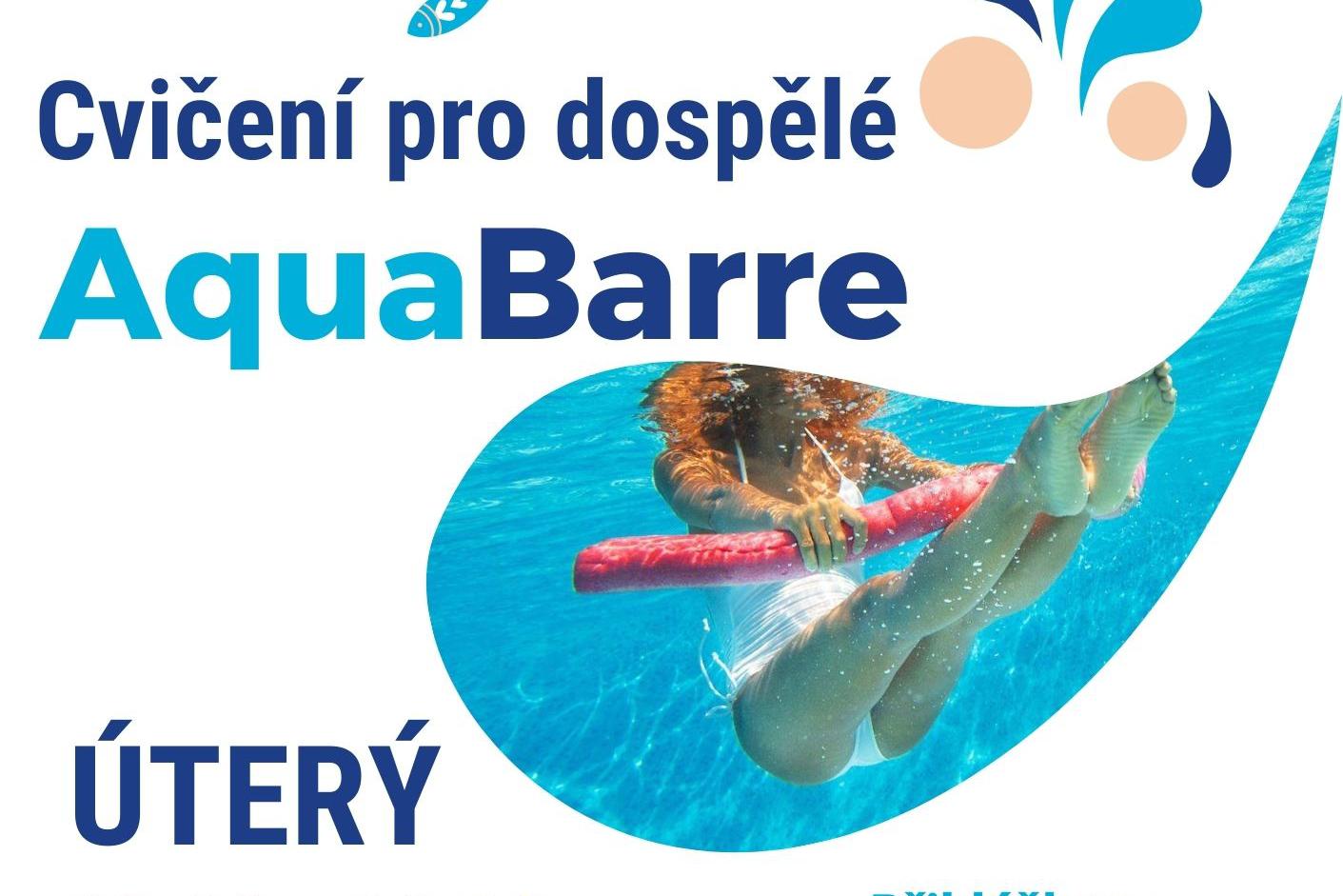 Cvičení ve vodě pro dospělé - AquaBarre