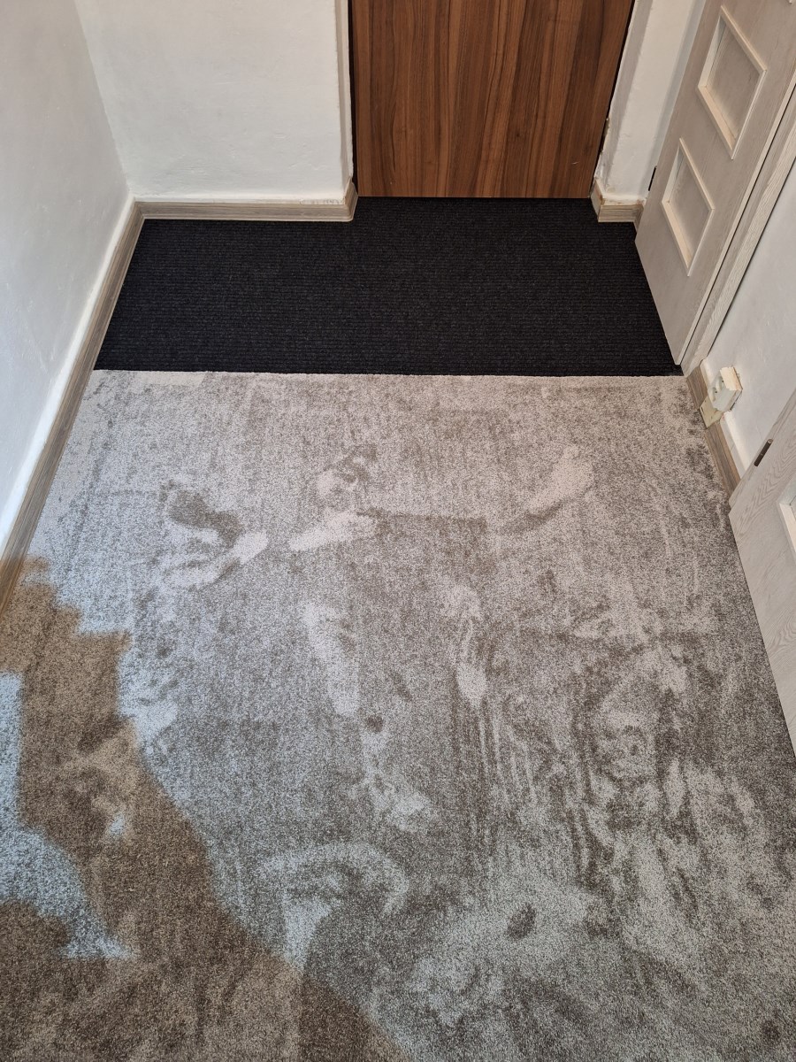 Malířství a pokládky podlah Tomáš Hanák s.r.o. foto 3