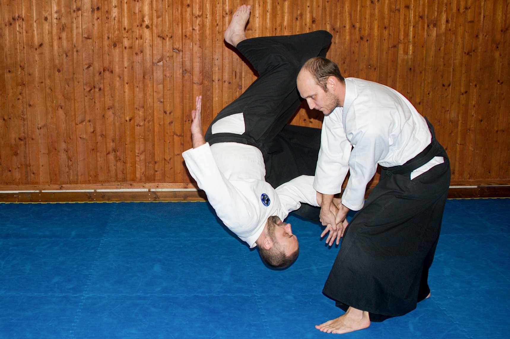 Ronin Dojo foto 3