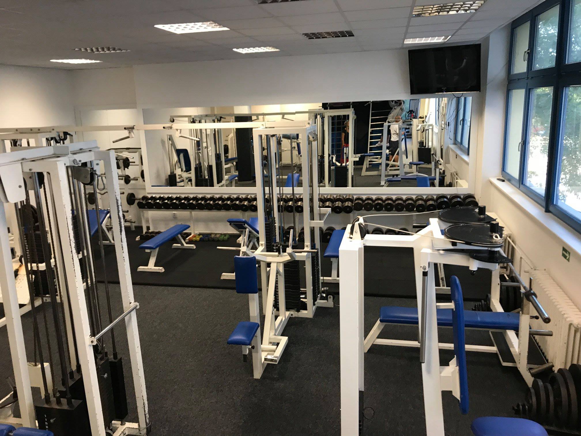 Gym Rat Family foto 6