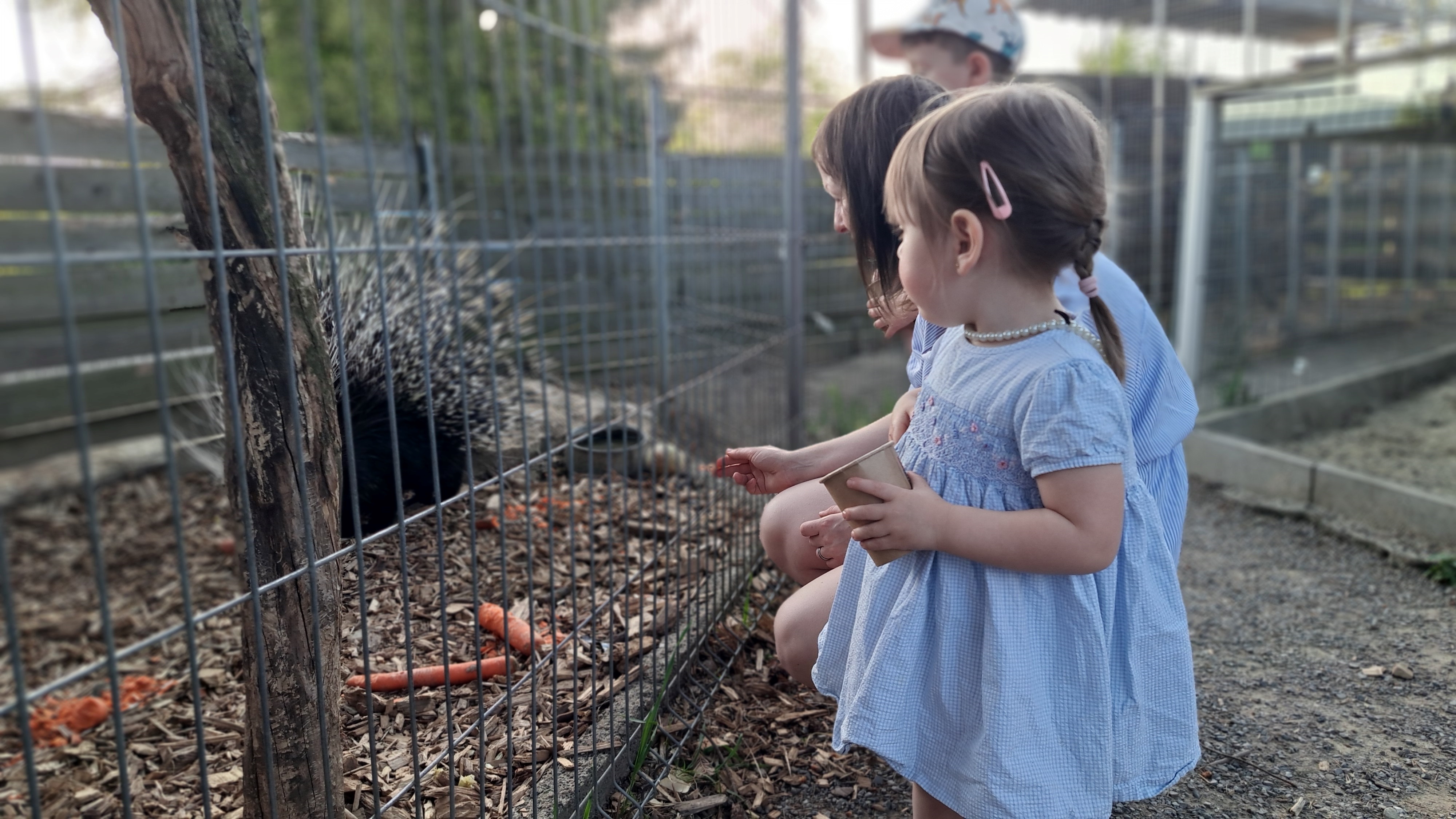 minizoo Vendryně foto 2