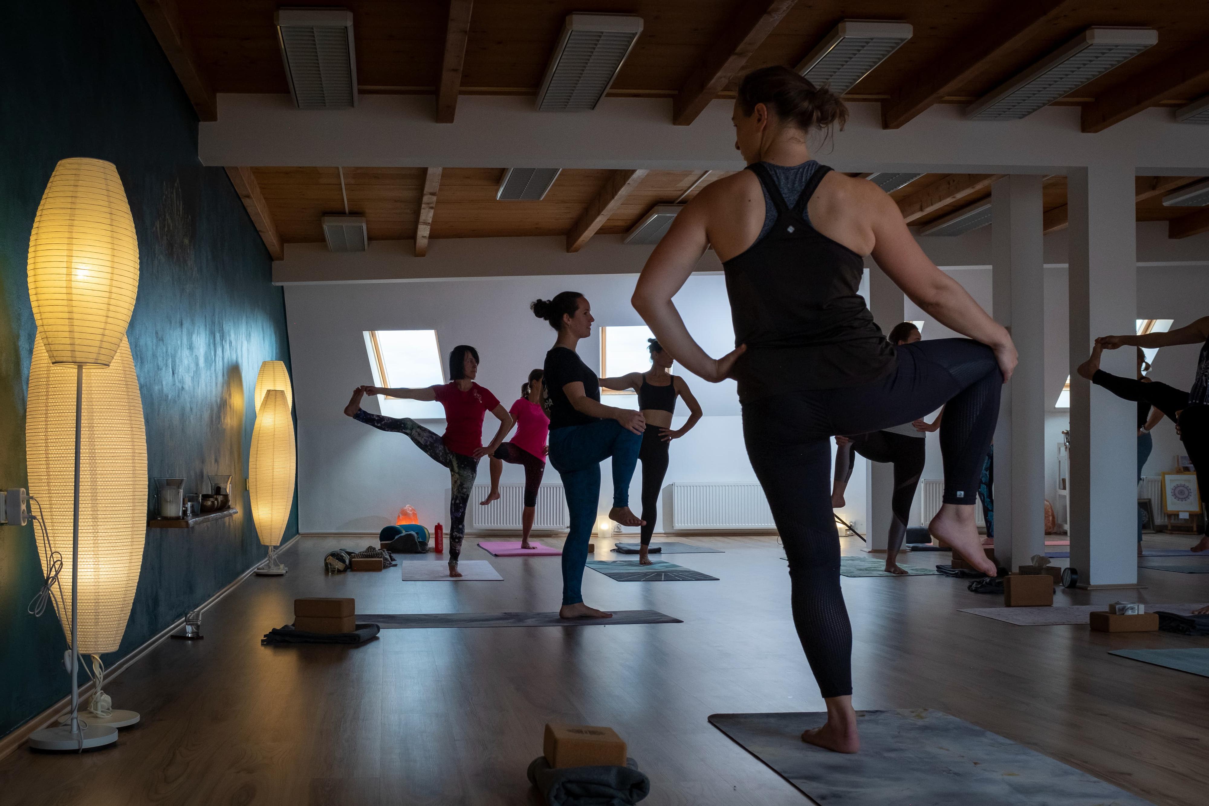 Siddha Yoga foto 3