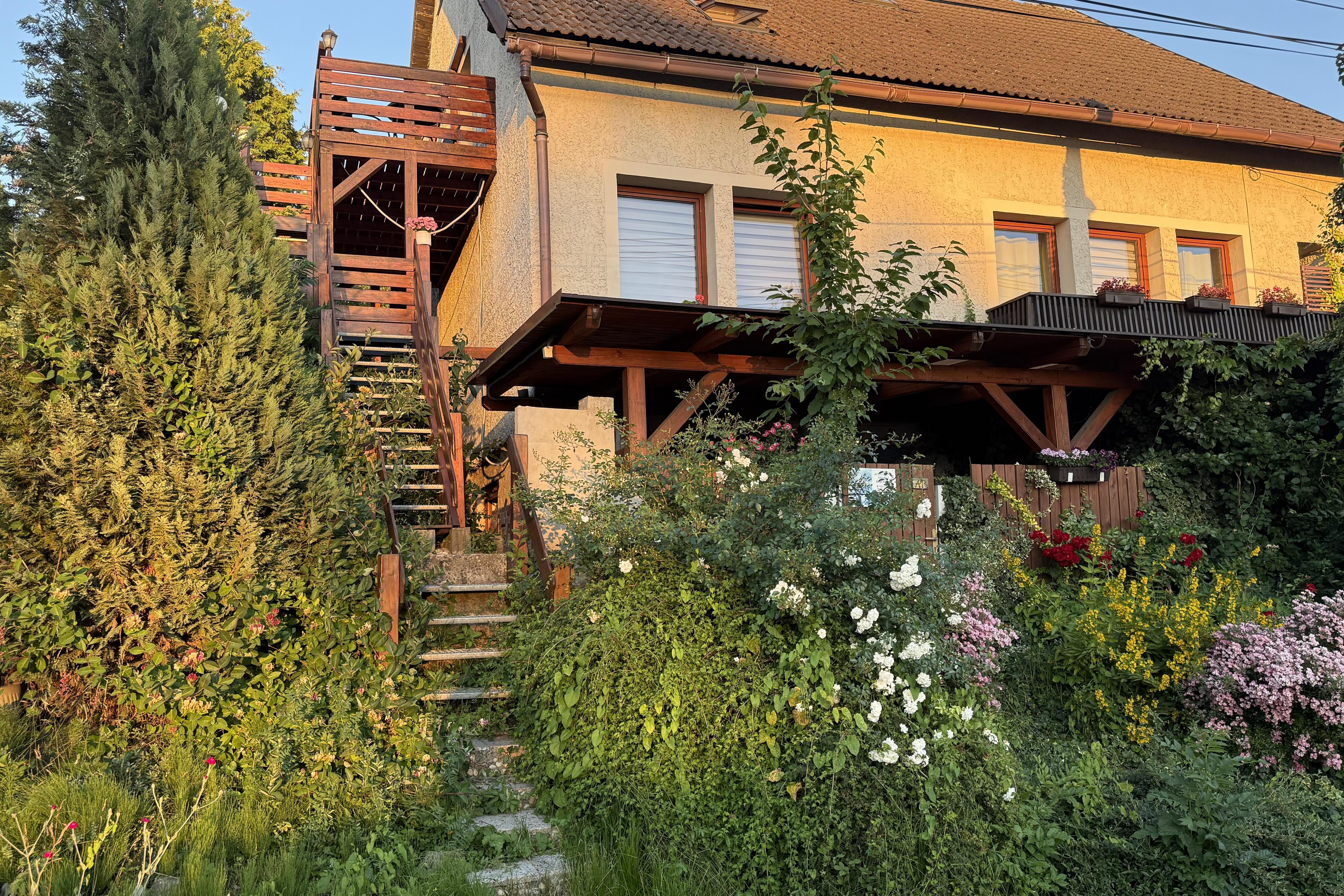 Kreativní kurzy Šárka Justrová