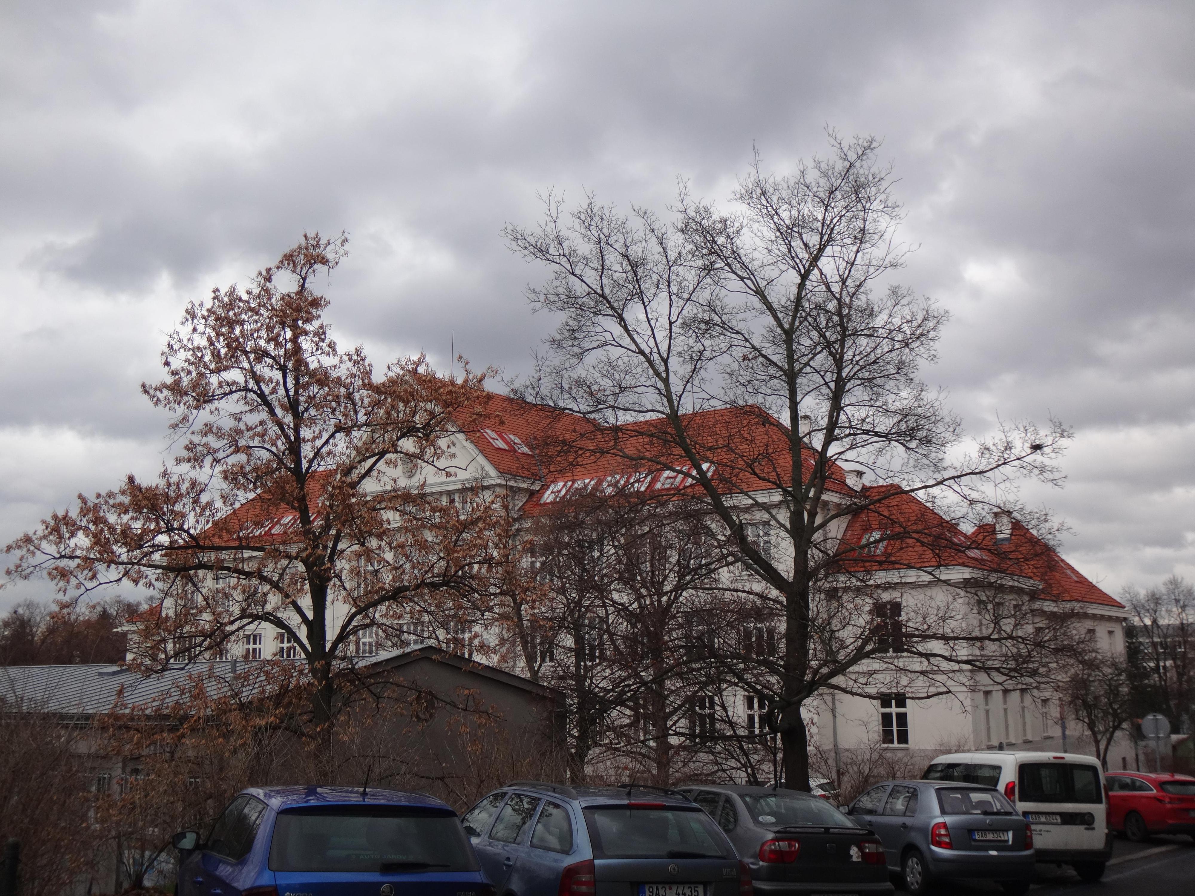 Vyšší odborná škola a Střední umělecká škola Václava Hollara Praha foto 5