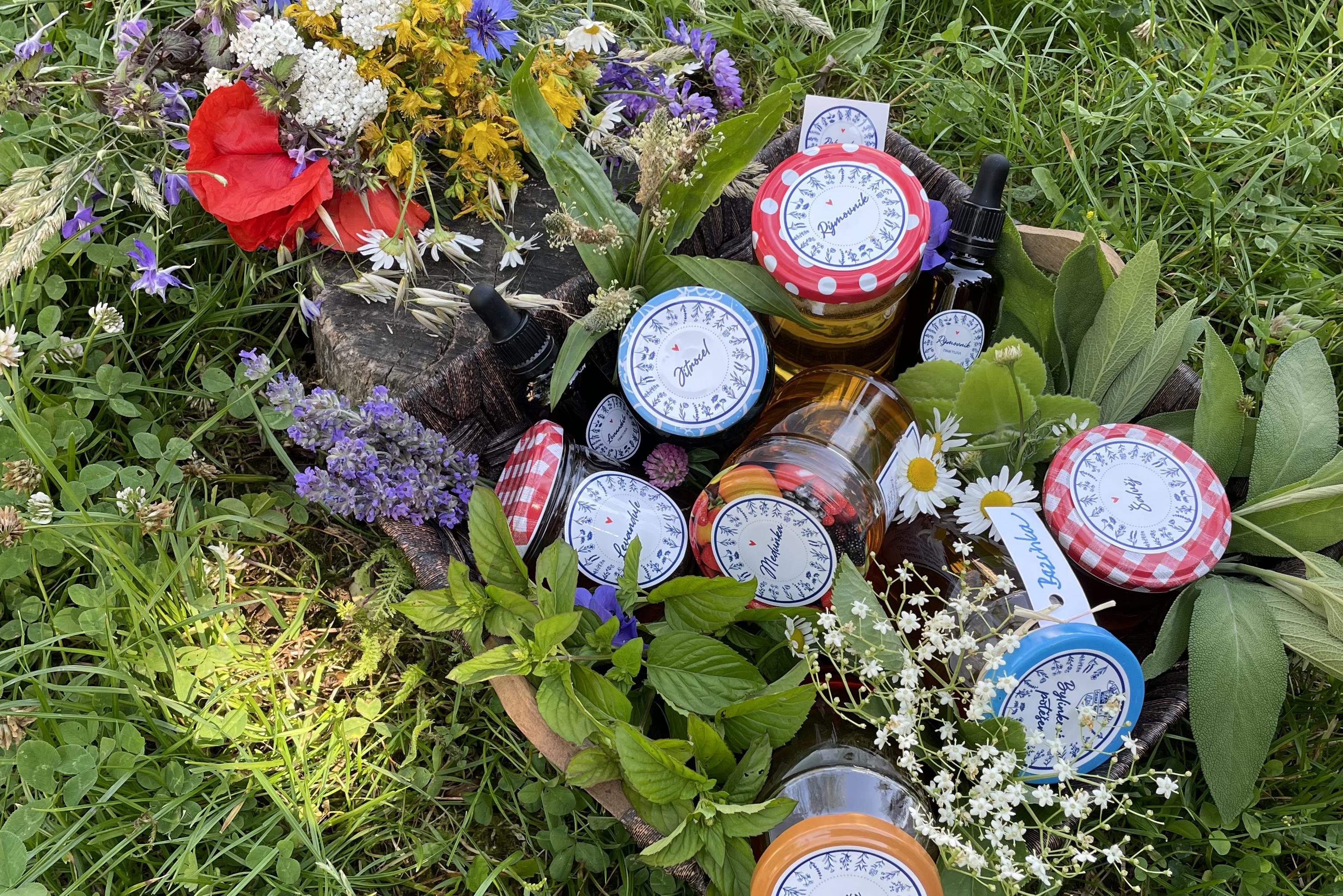 Zuzanina bylinková Bečka