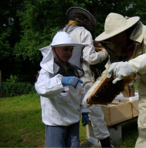 VIP exkurze pro rodinu do světa včel